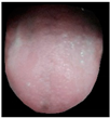 Applsci 14 04208 i004