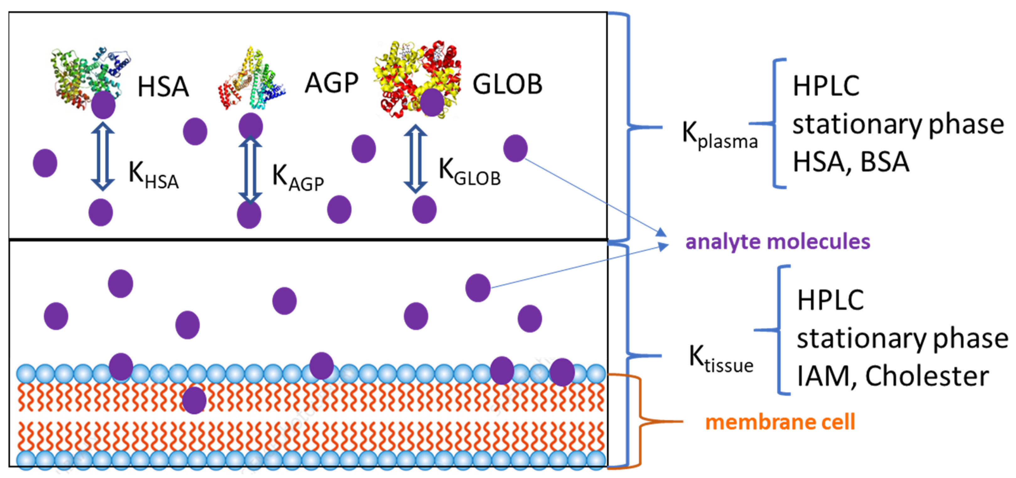 Applsci 14 04265 g005