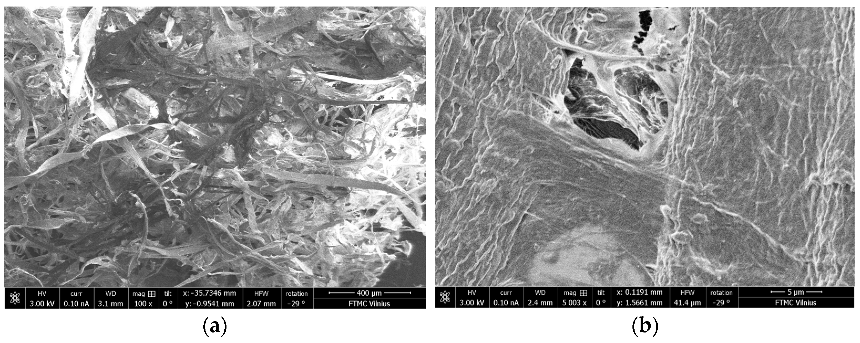 Applsci 14 04274 g003