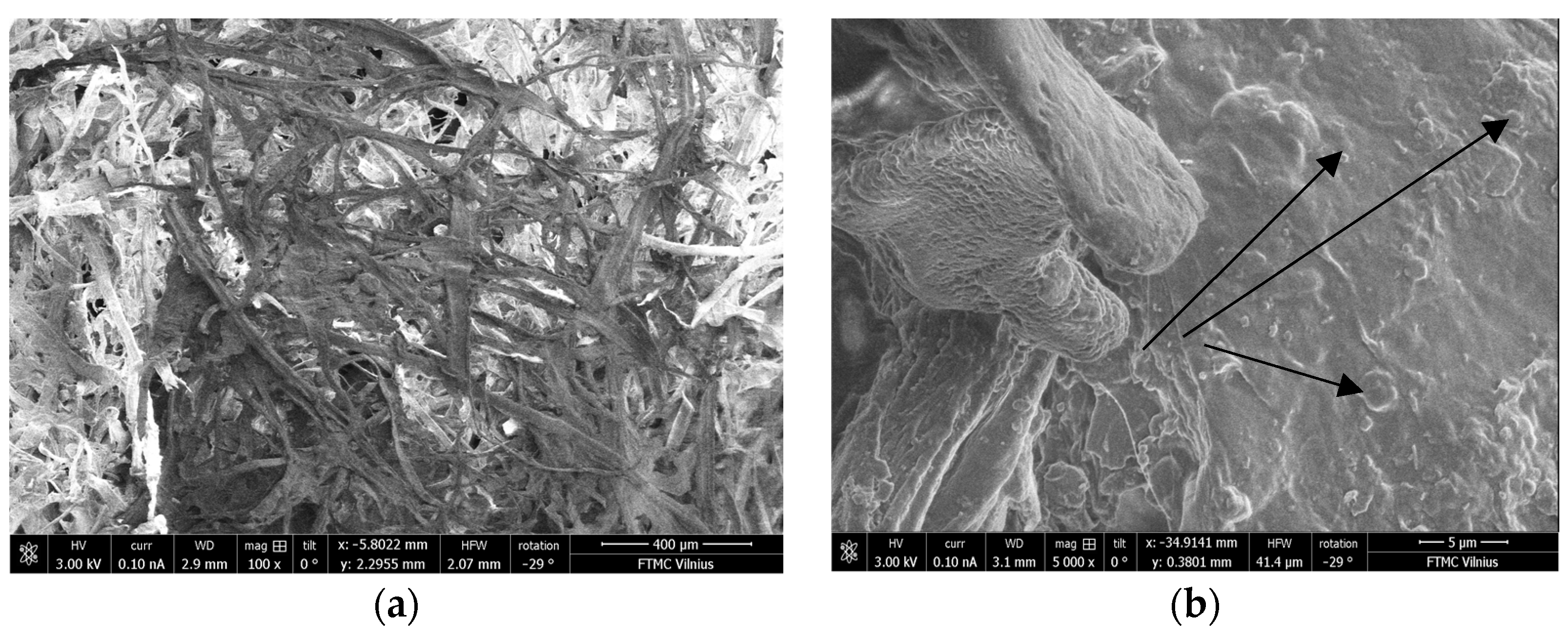 Applsci 14 04274 g004