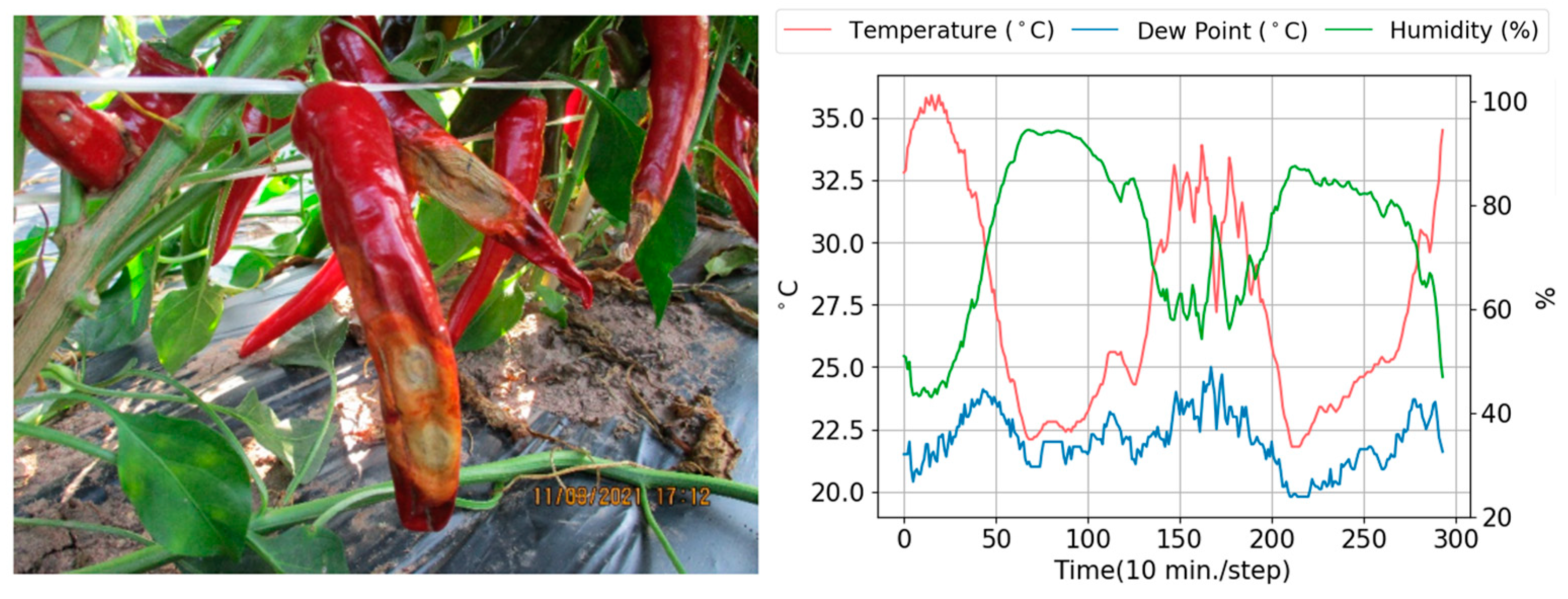 Applsci 14 04322 g001