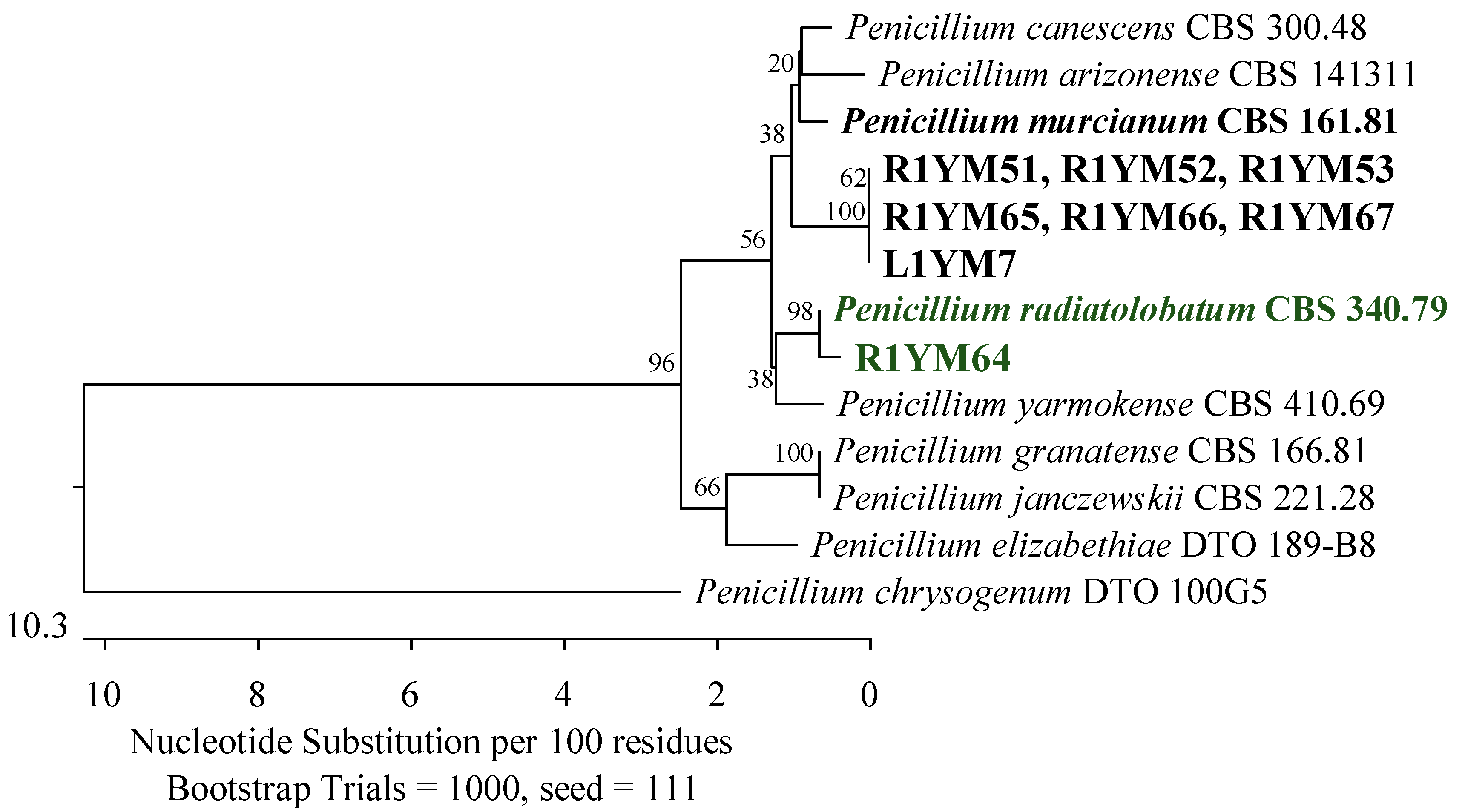 Applsci 14 04328 g001 Applsci 14 04328 g001