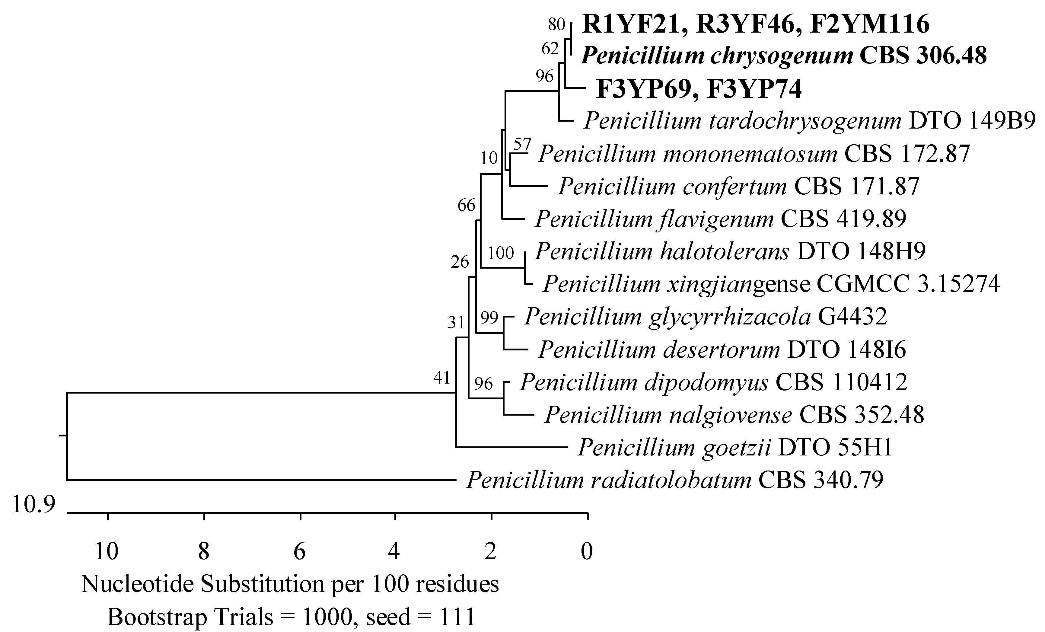 Applsci 14 04328 g002 Applsci 14 04328 g002