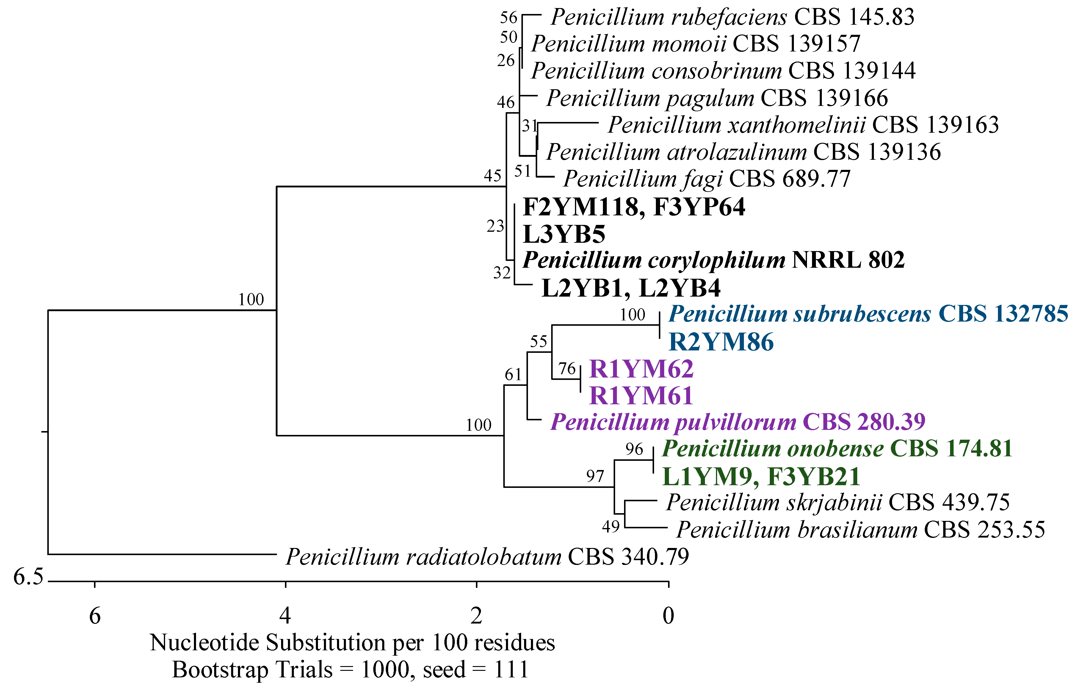 Applsci 14 04328 g003 Applsci 14 04328 g003