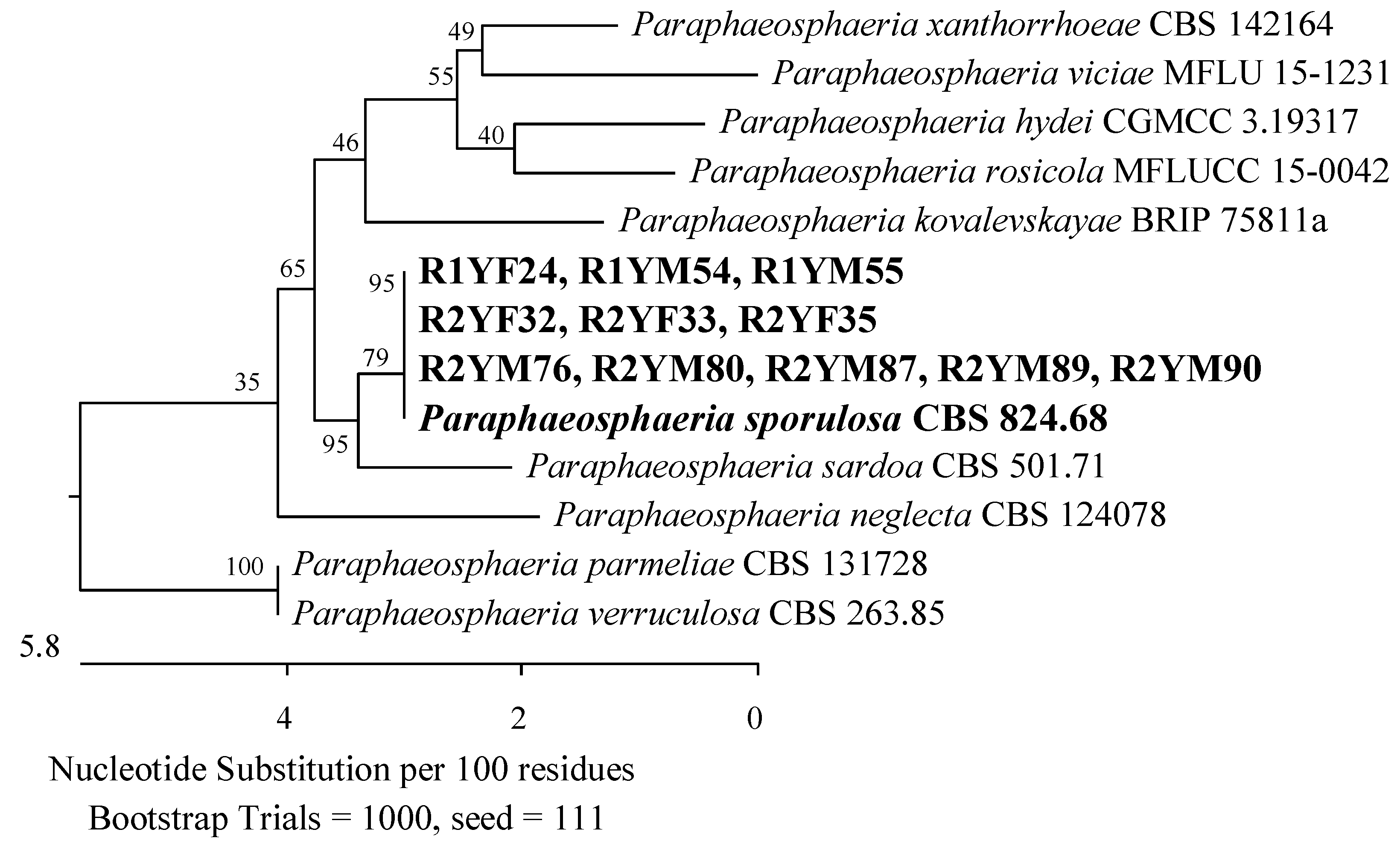 Applsci 14 04328 g004 Applsci 14 04328 g004