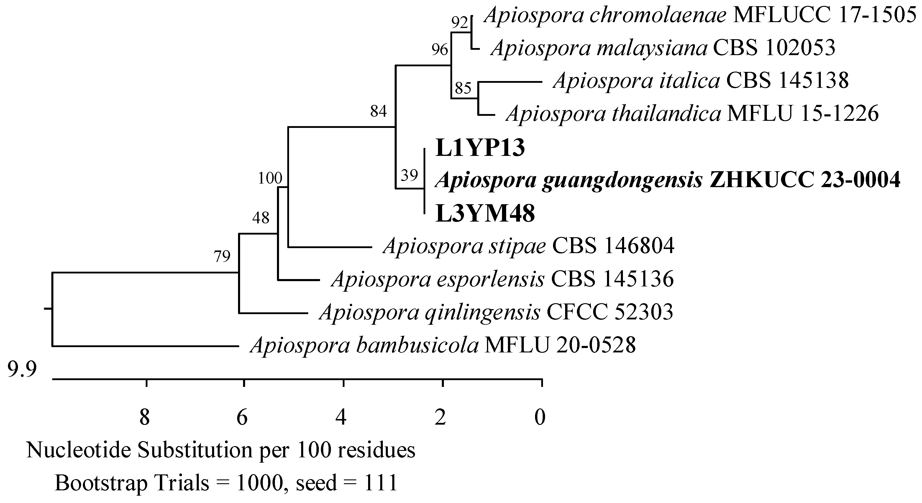 Applsci 14 04328 g013 Applsci 14 04328 g013