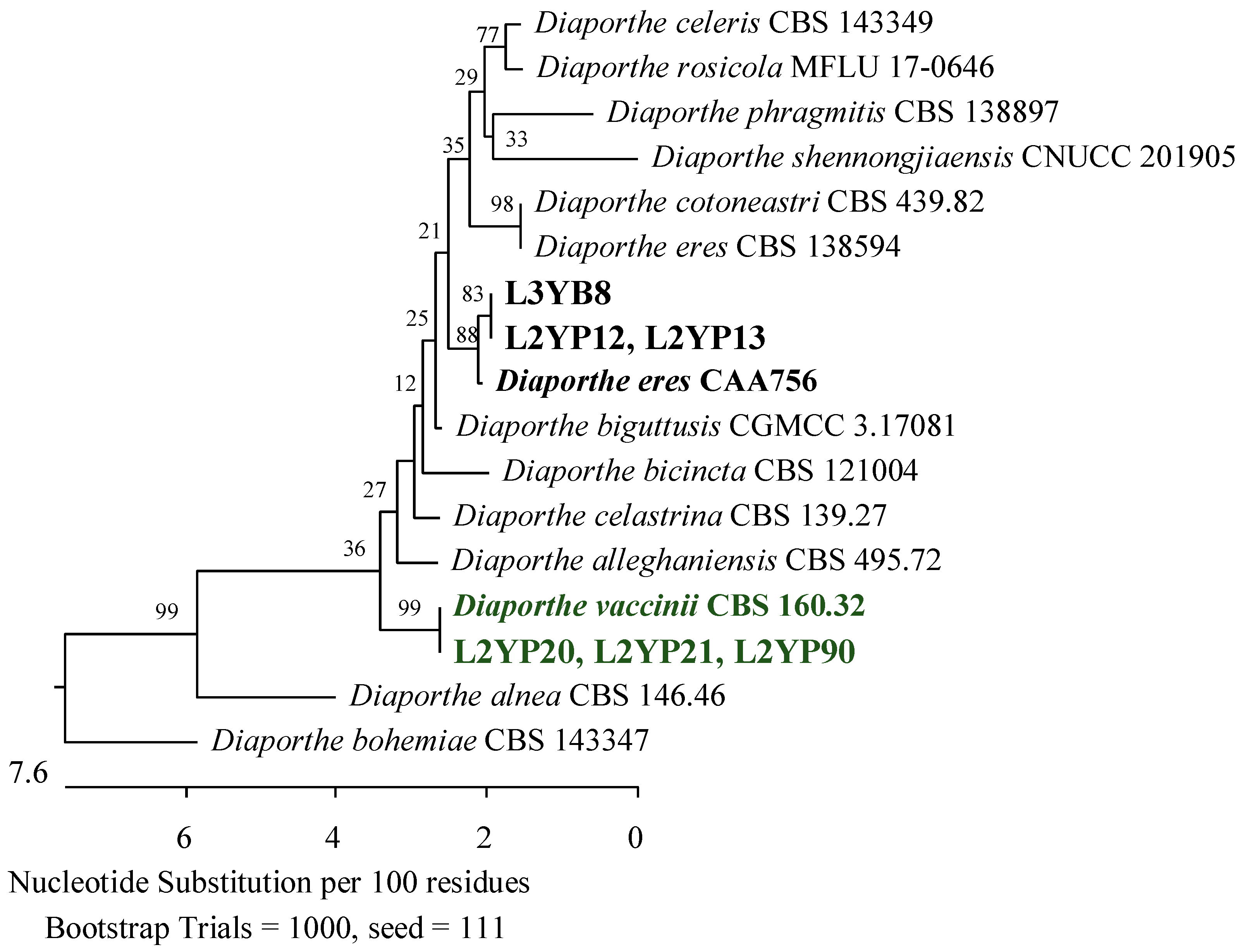 Applsci 14 04328 g014 Applsci 14 04328 g014