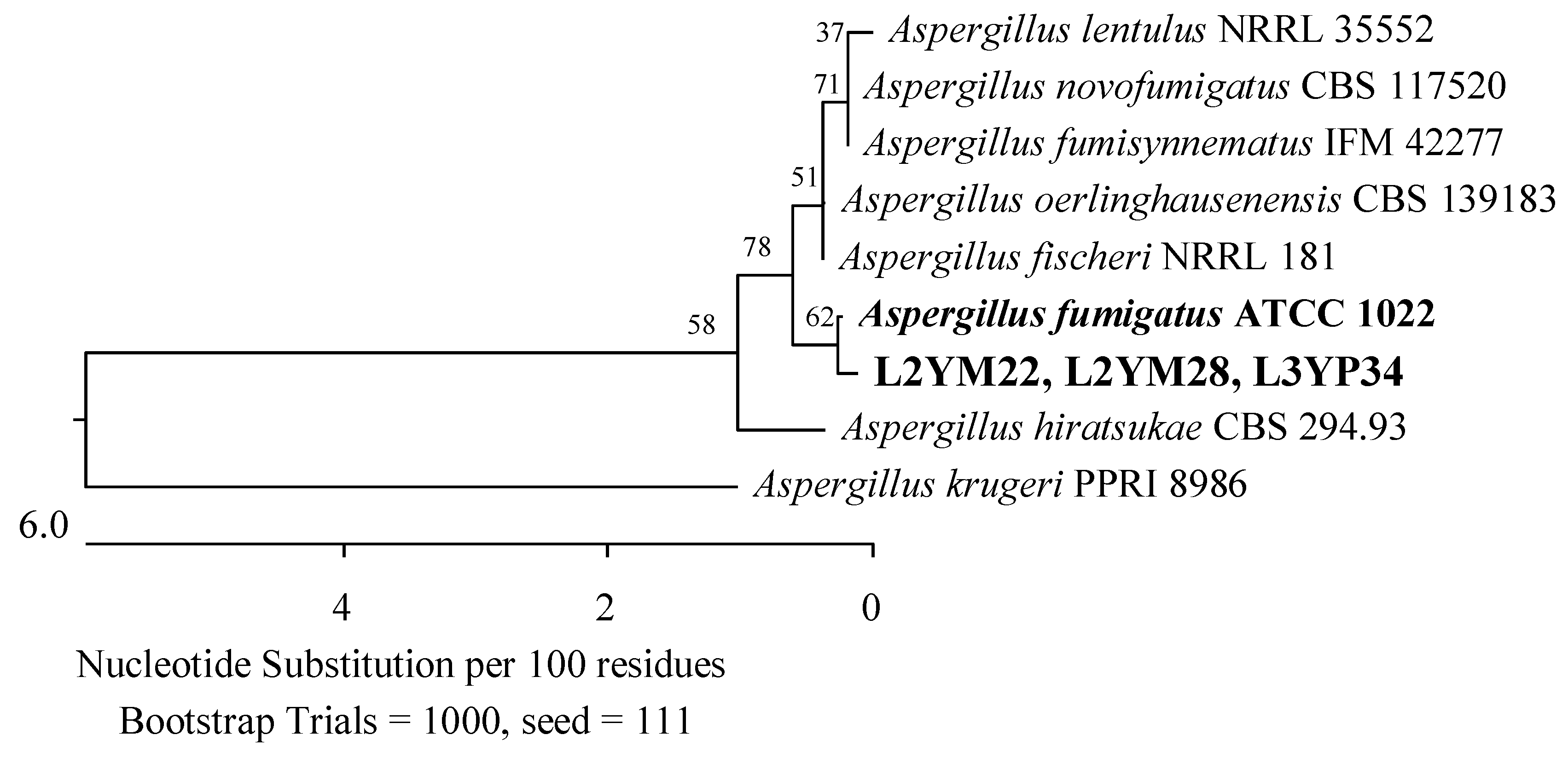 Applsci 14 04328 g015 Applsci 14 04328 g015