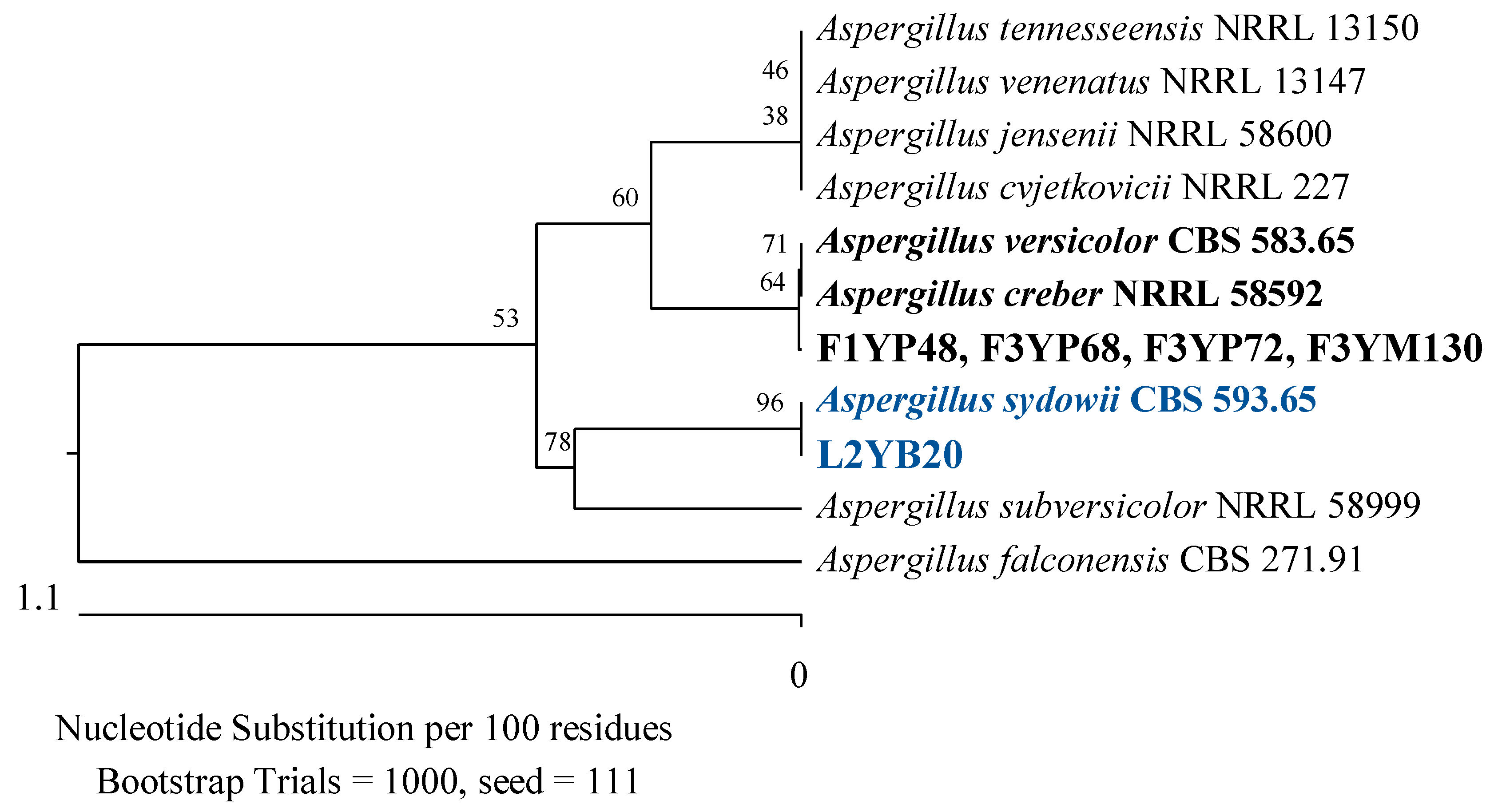 Applsci 14 04328 g016 Applsci 14 04328 g016