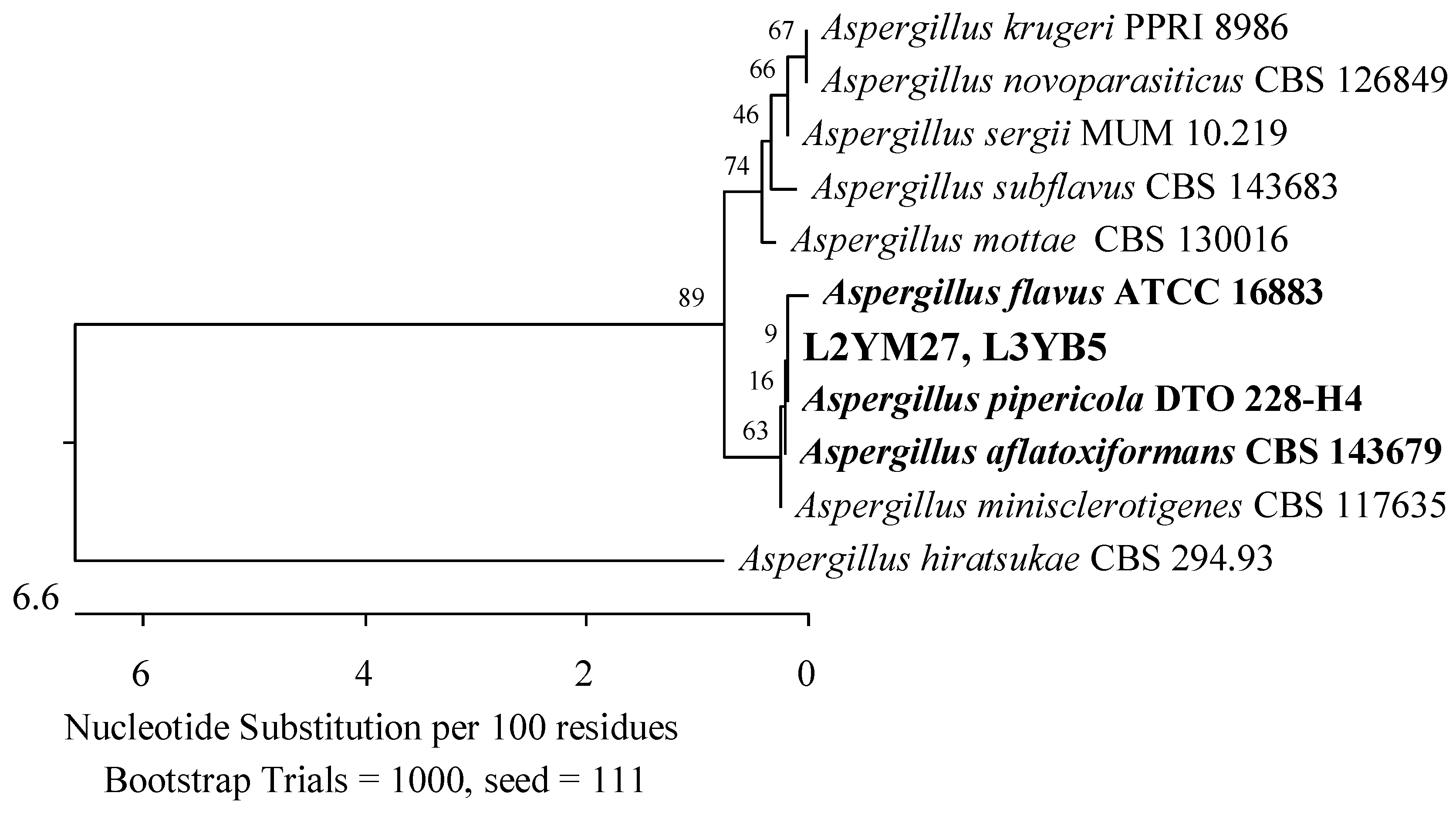 Applsci 14 04328 g017 Applsci 14 04328 g017