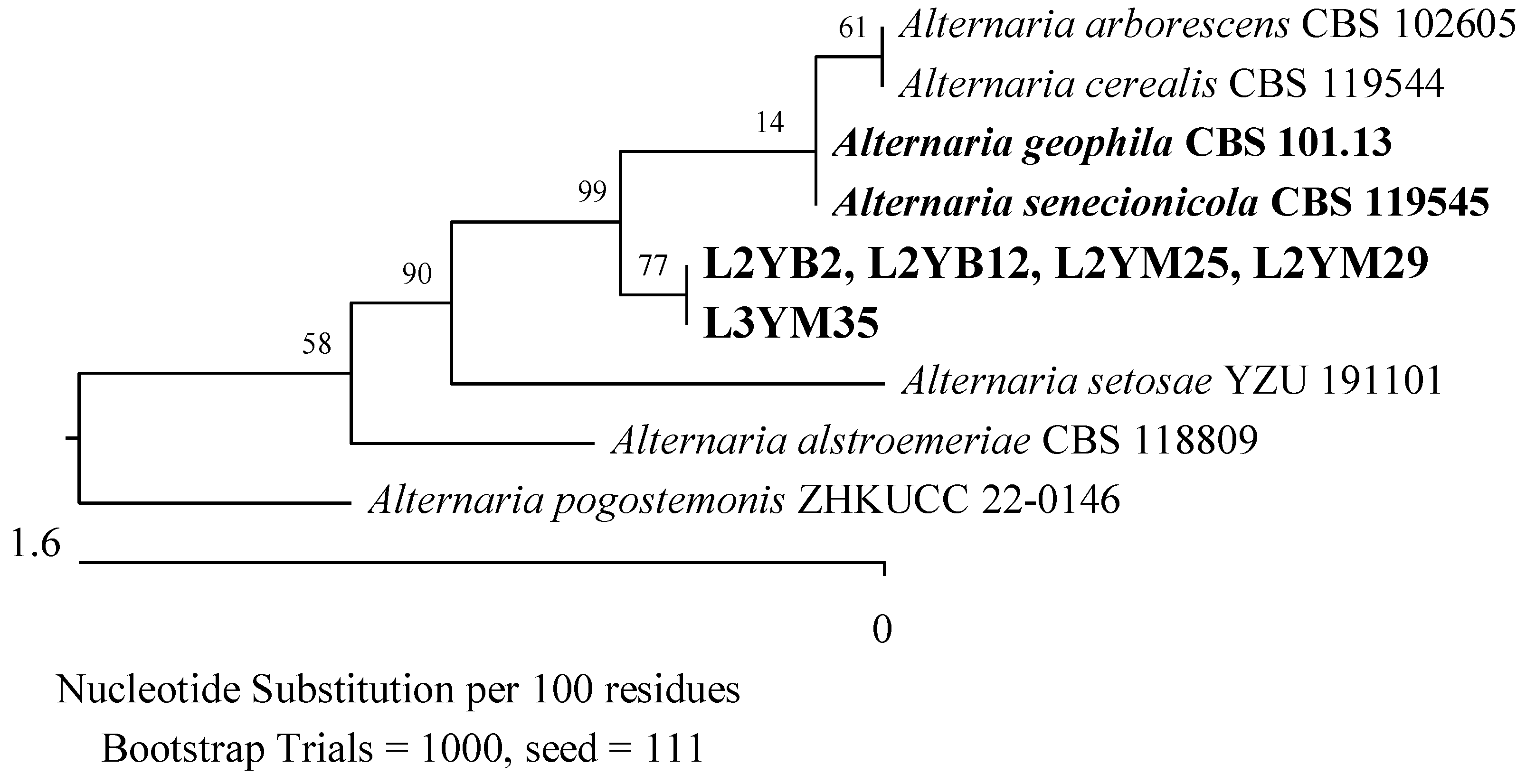 Applsci 14 04328 g018 Applsci 14 04328 g018