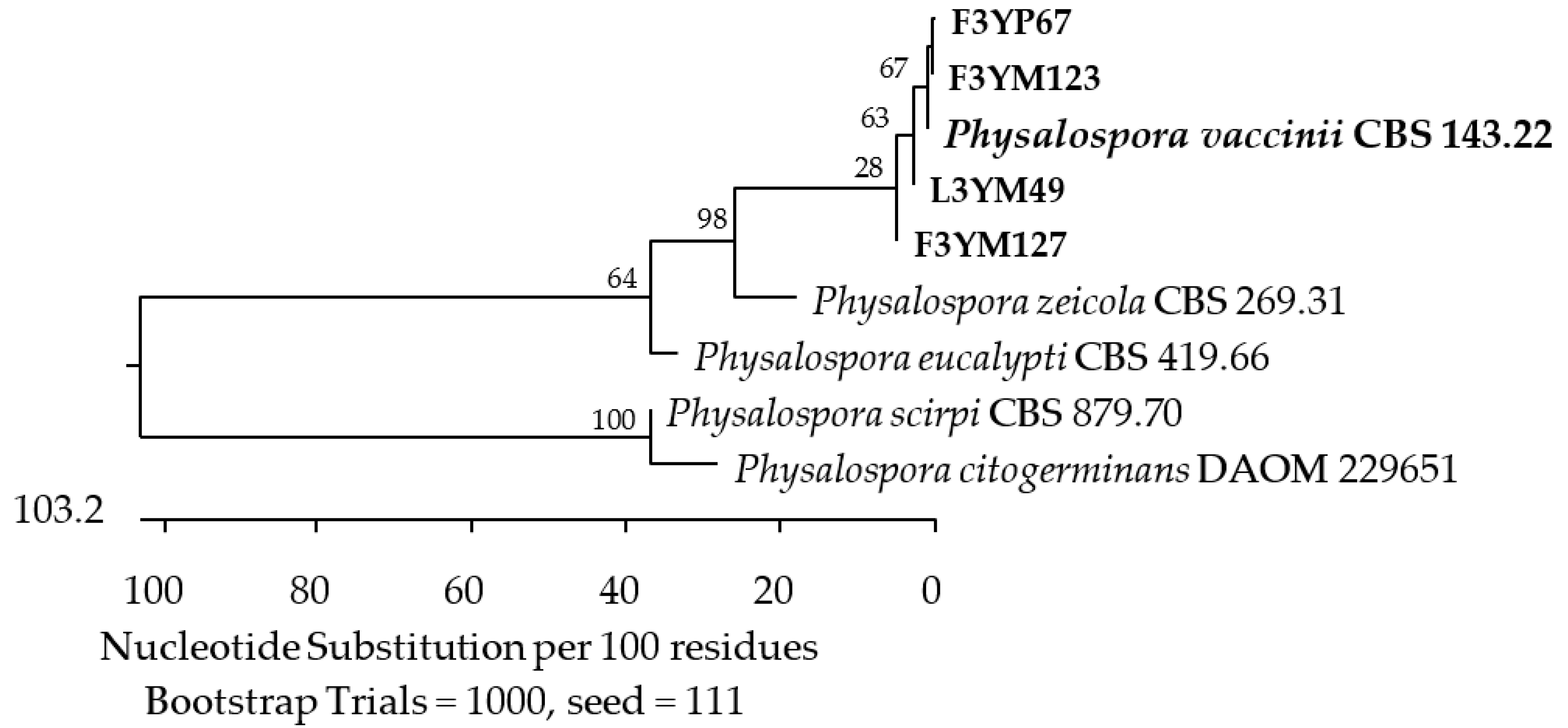 Applsci 14 04328 g019 Applsci 14 04328 g019
