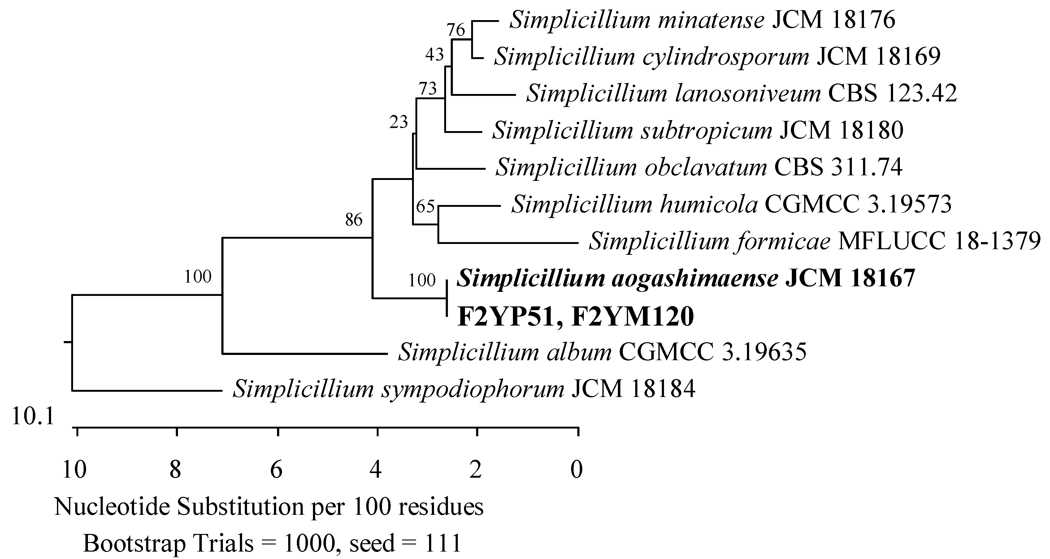 Applsci 14 04328 g021 Applsci 14 04328 g021