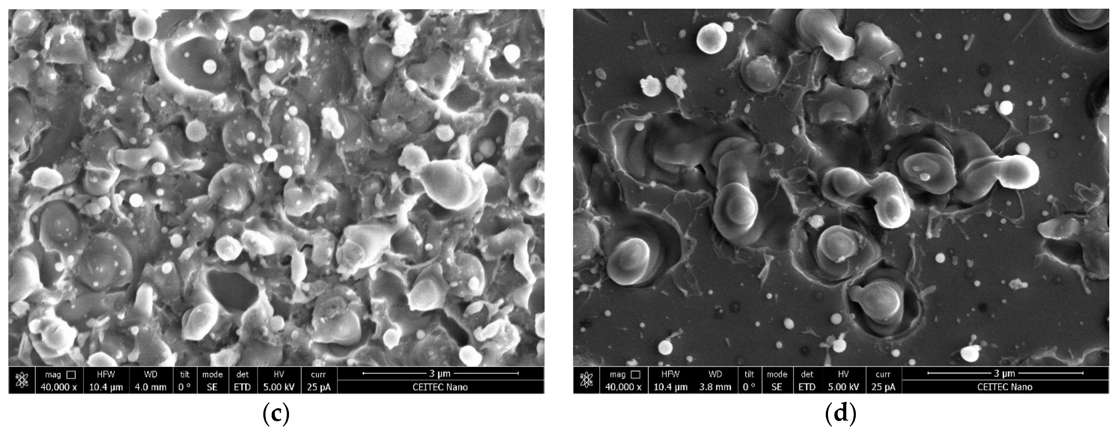 Applsci 14 04399 g012b