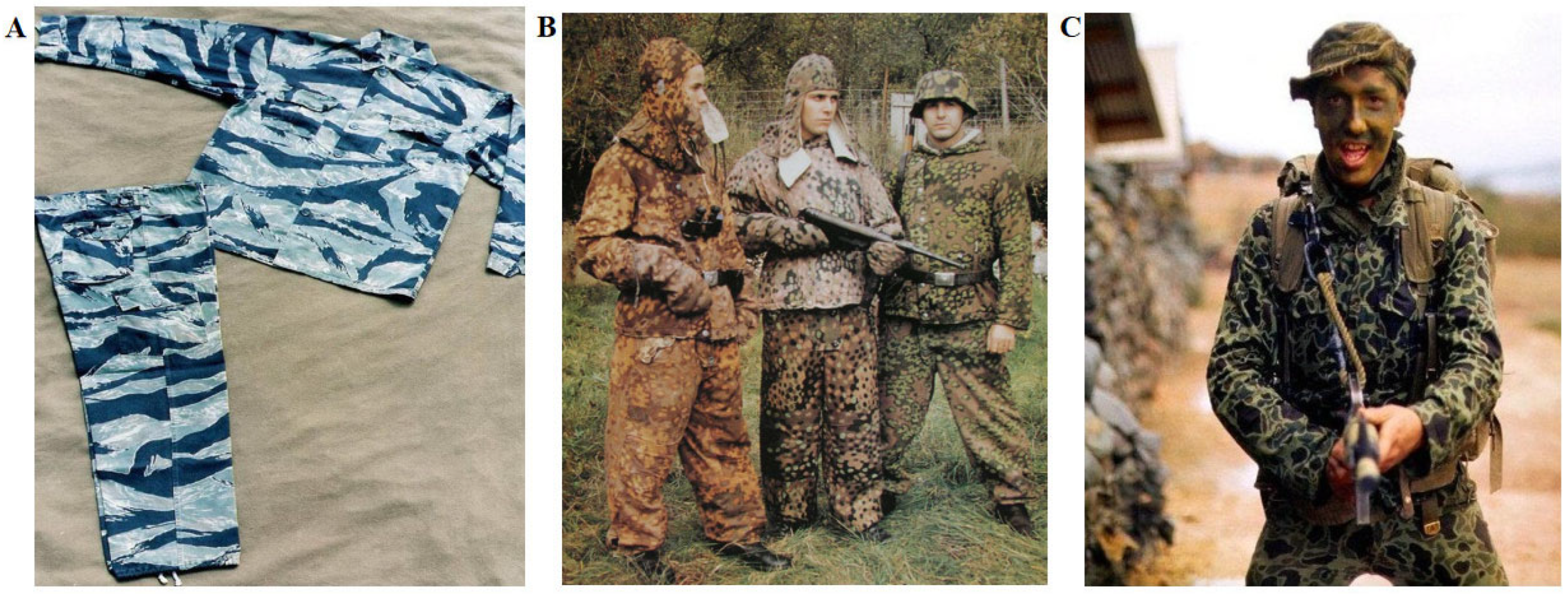 Applsci 14 04404 g003