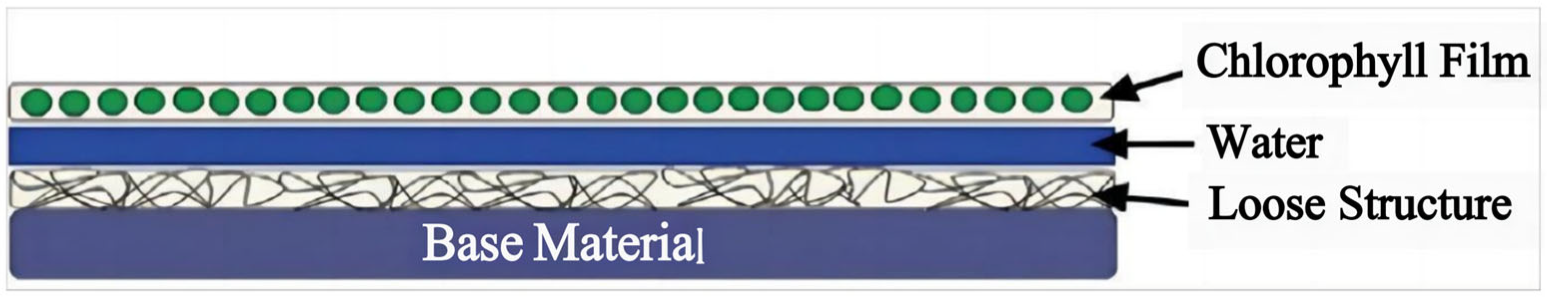 Applsci 14 04404 g006