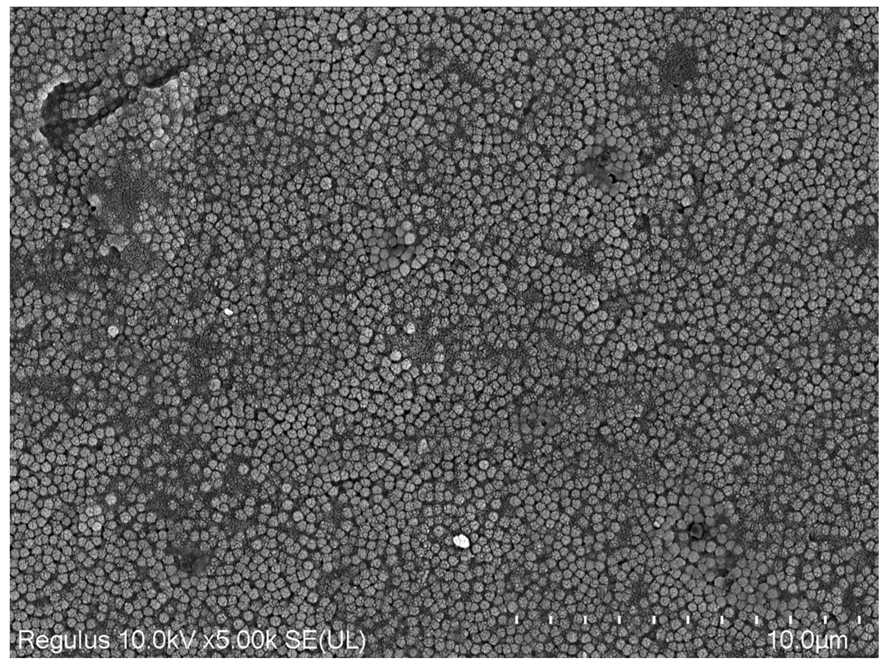 Applsci 14 04406 g013