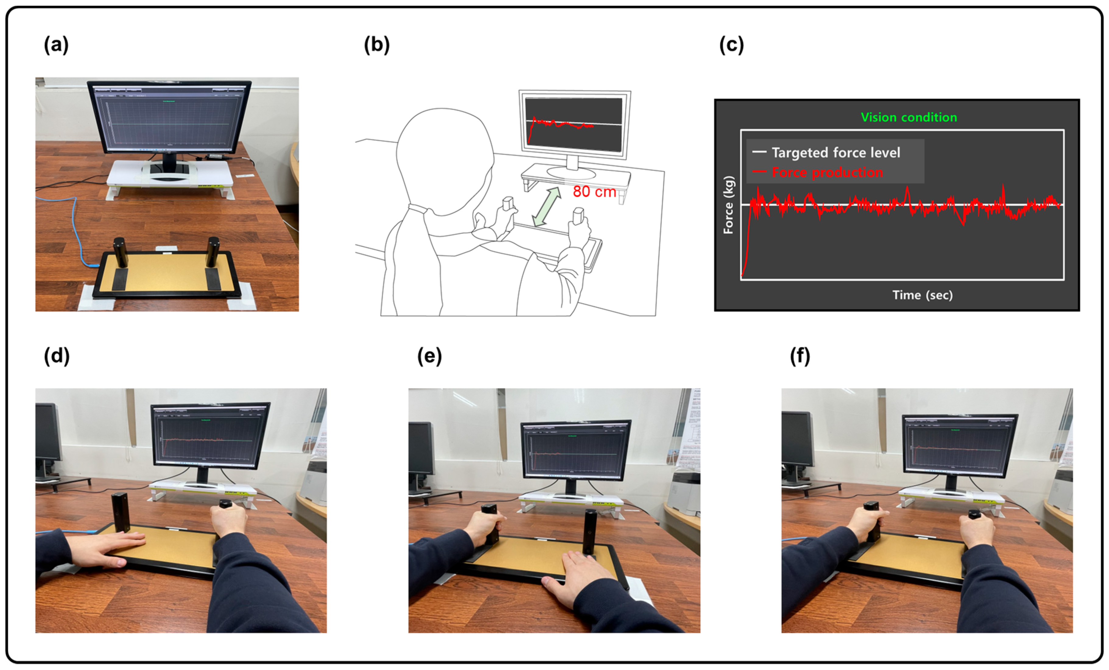 Applsci 14 04408 g001