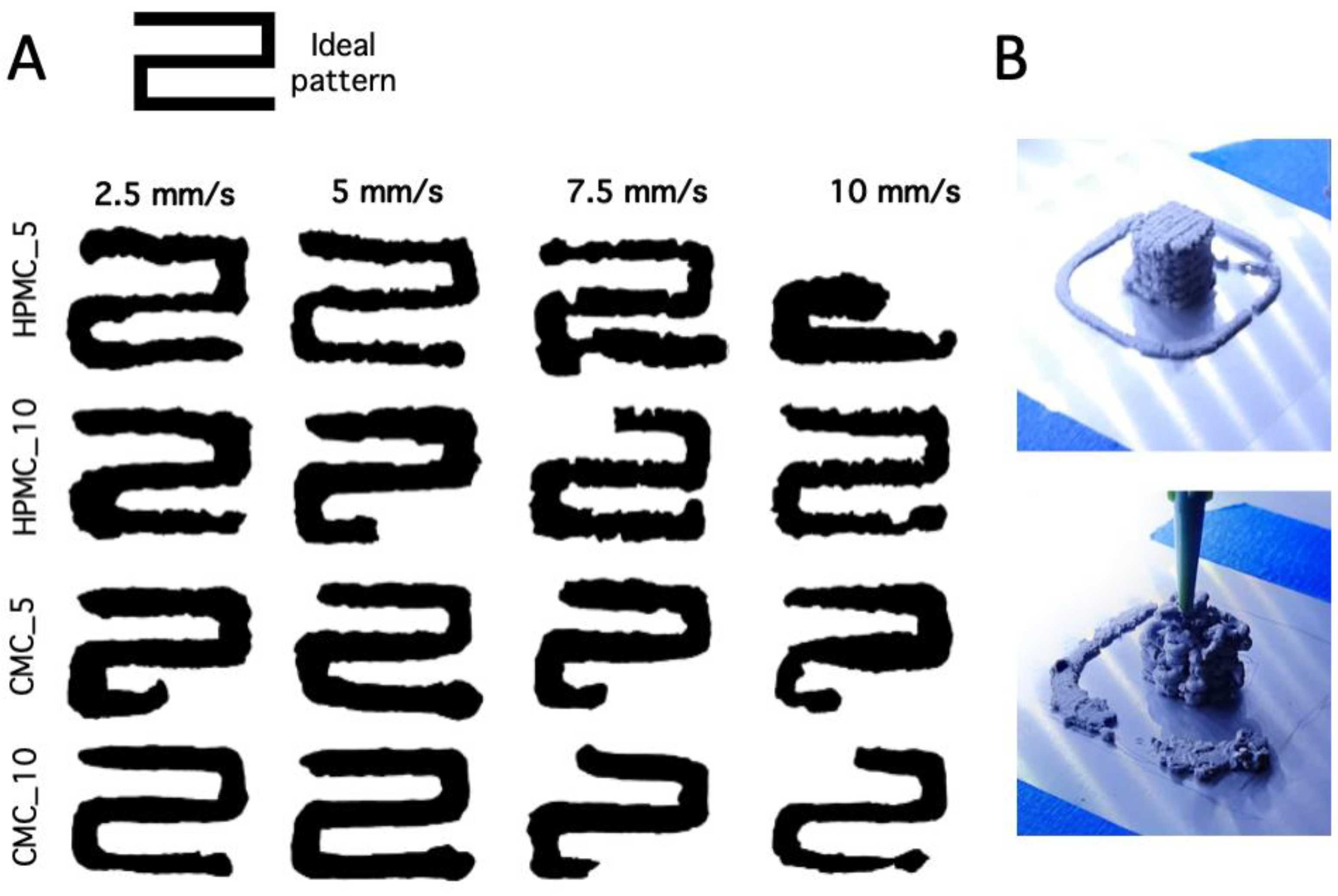 Applsci 14 04410 g003