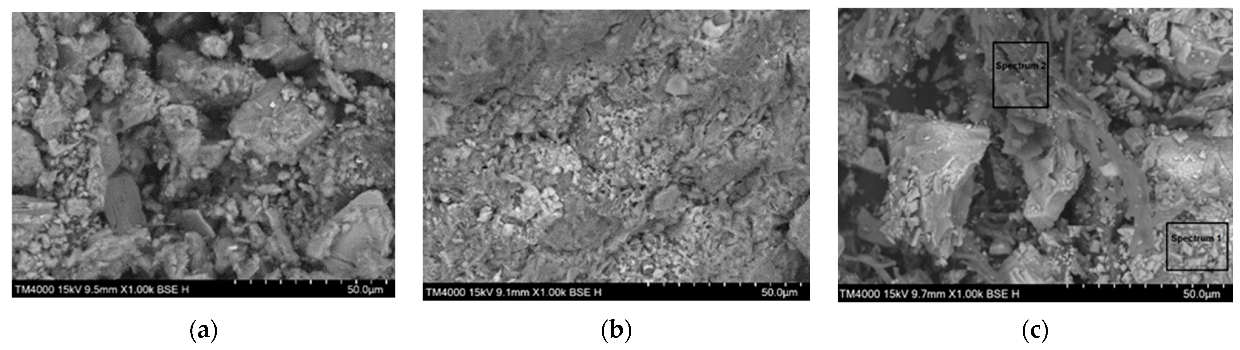 Applsci 14 04417 g002