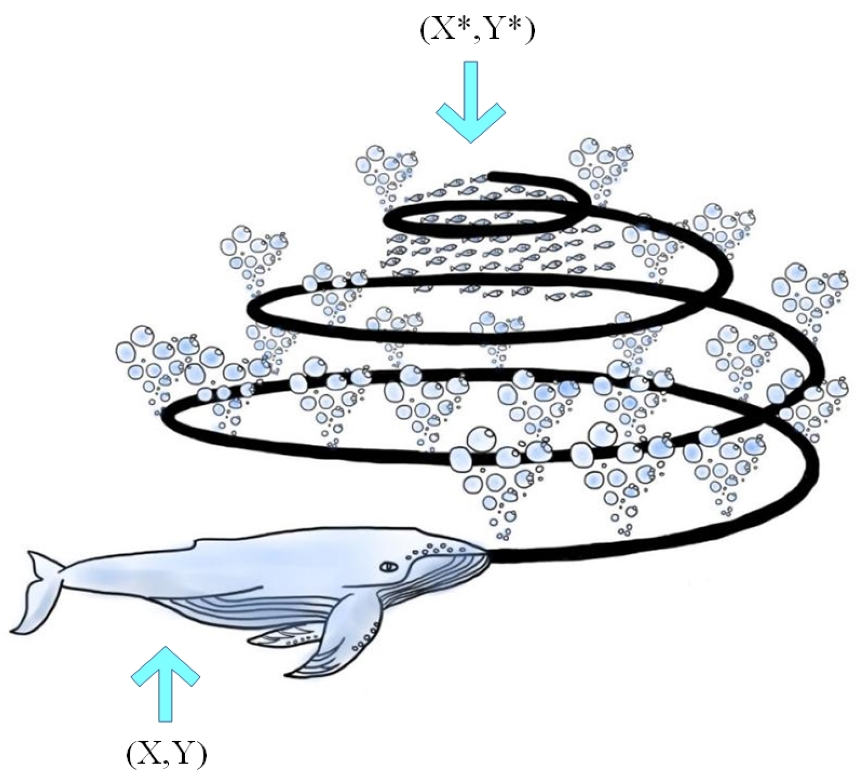 Applsci 14 04419 g004