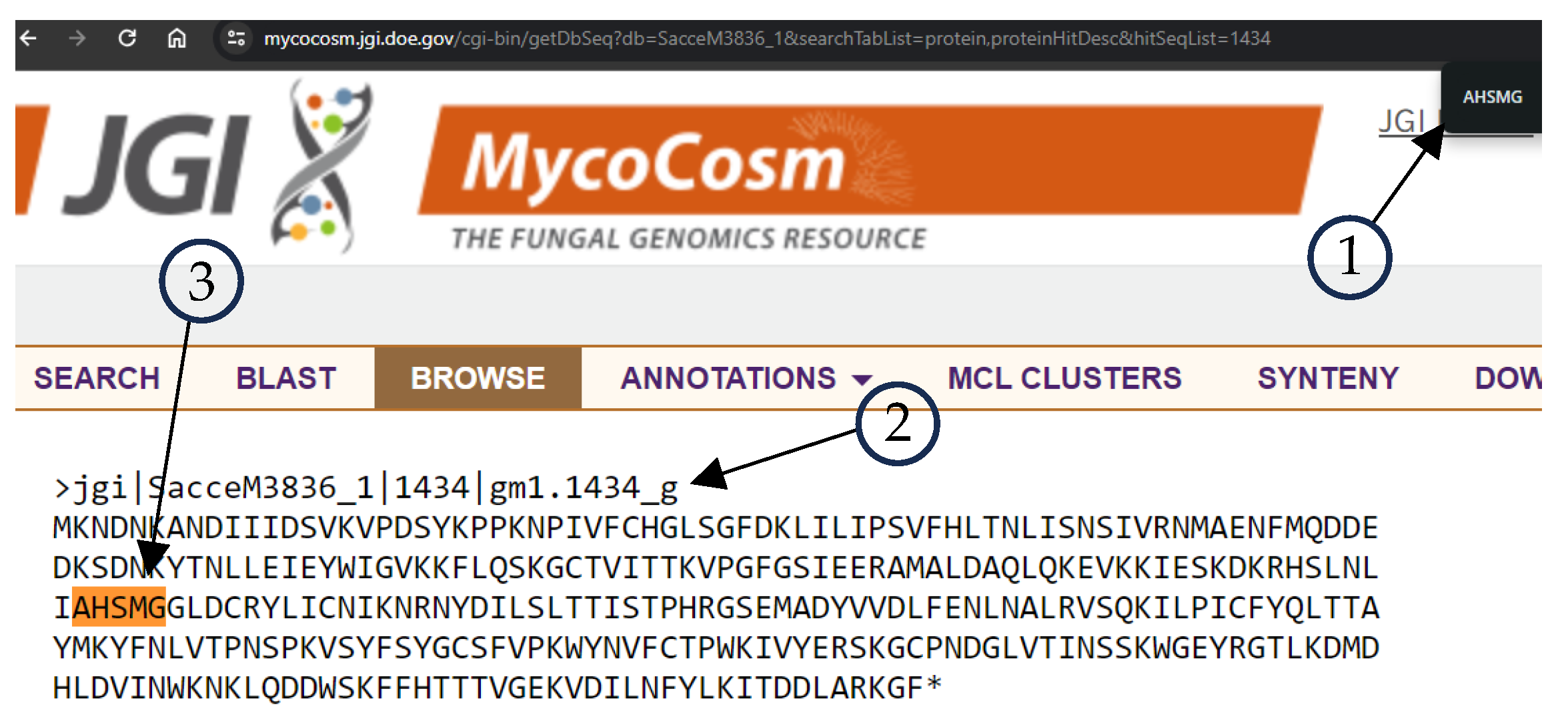 Applsci 14 04429 g003