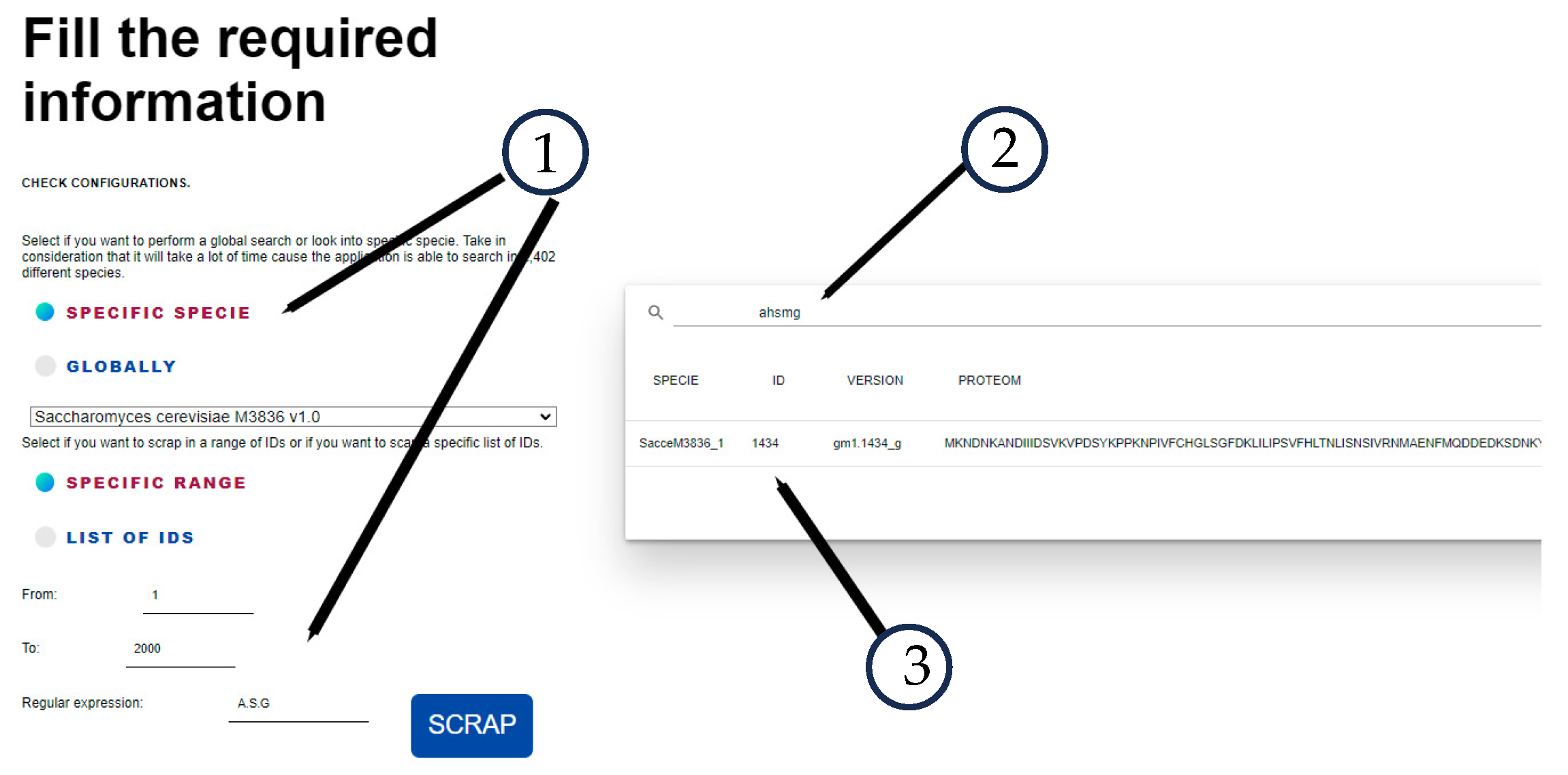 Applsci 14 04429 g004