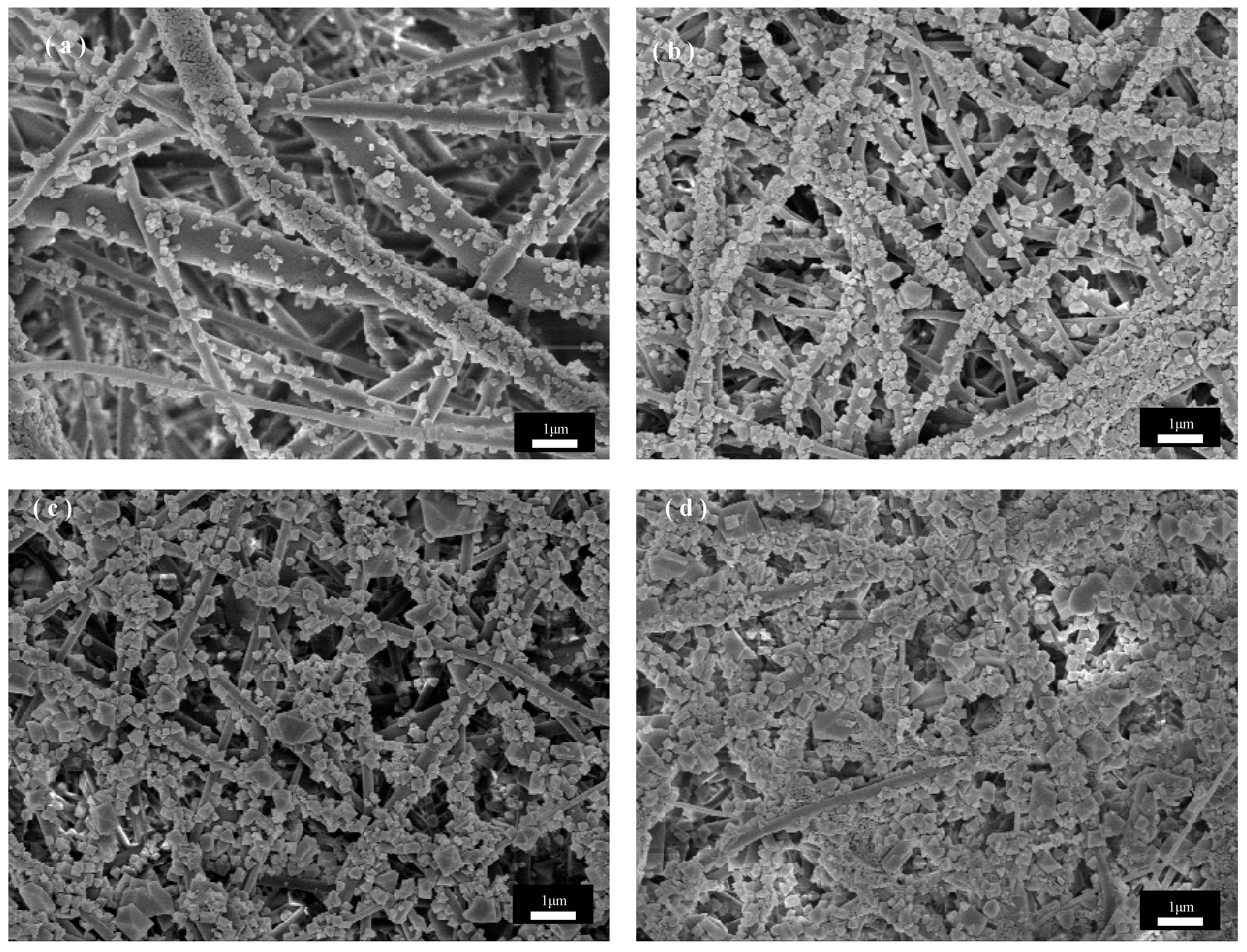 Applsci 14 04462 g006