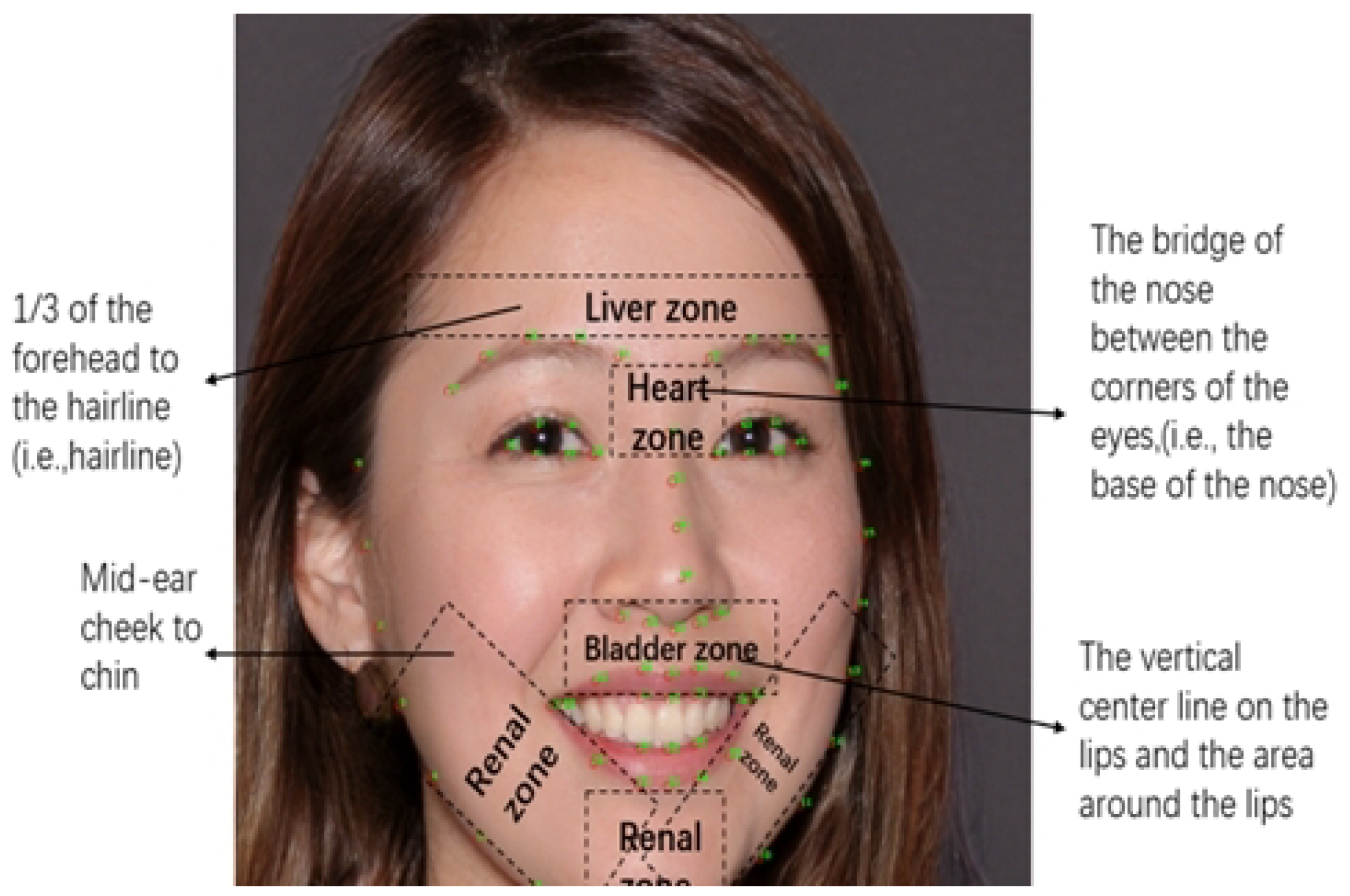 Applsci 14 04473 g002