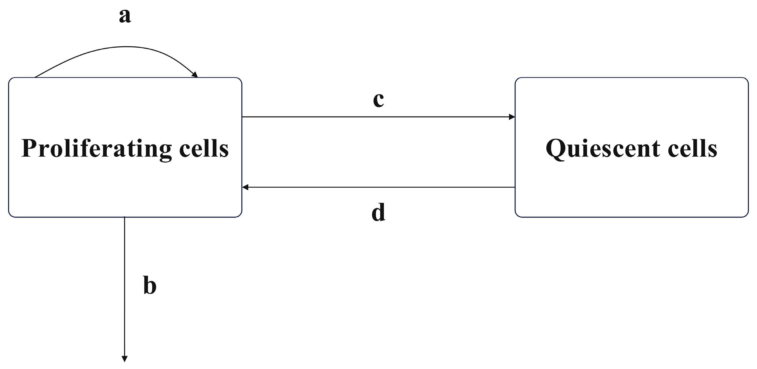 Applsci 14 04478 g001