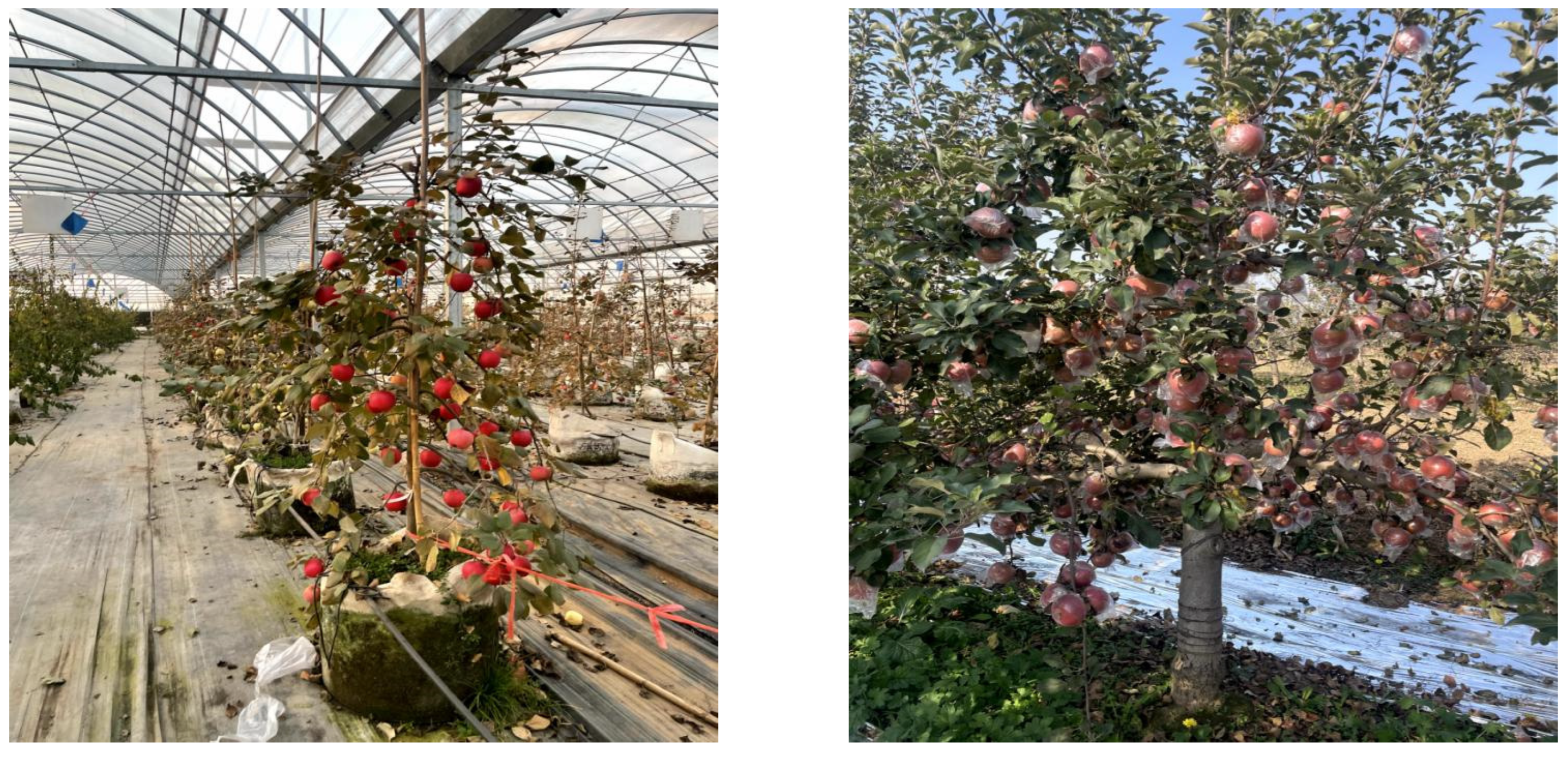 Applsci 14 04523 g001