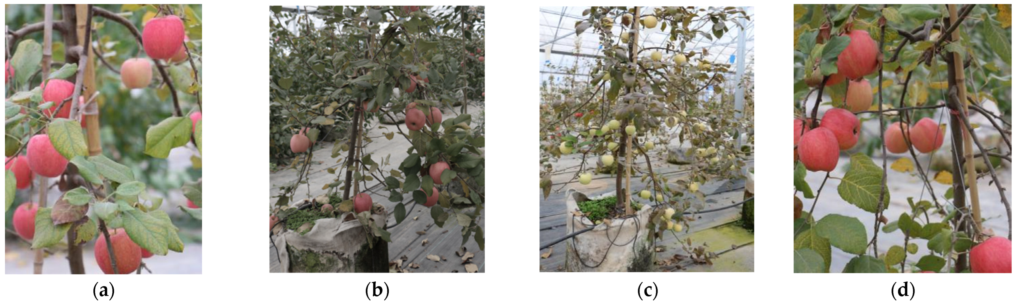 Applsci 14 04523 g002a