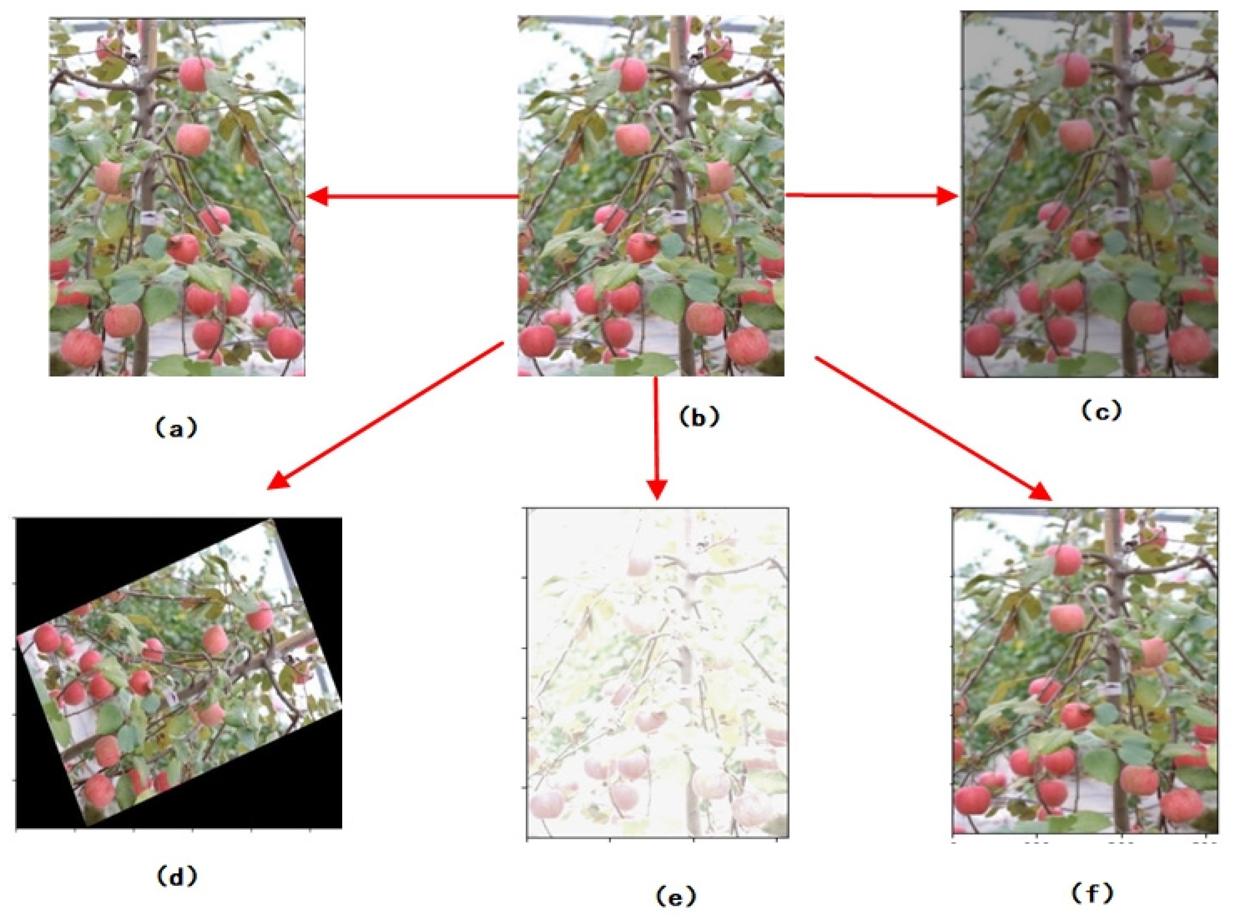 Applsci 14 04523 g003