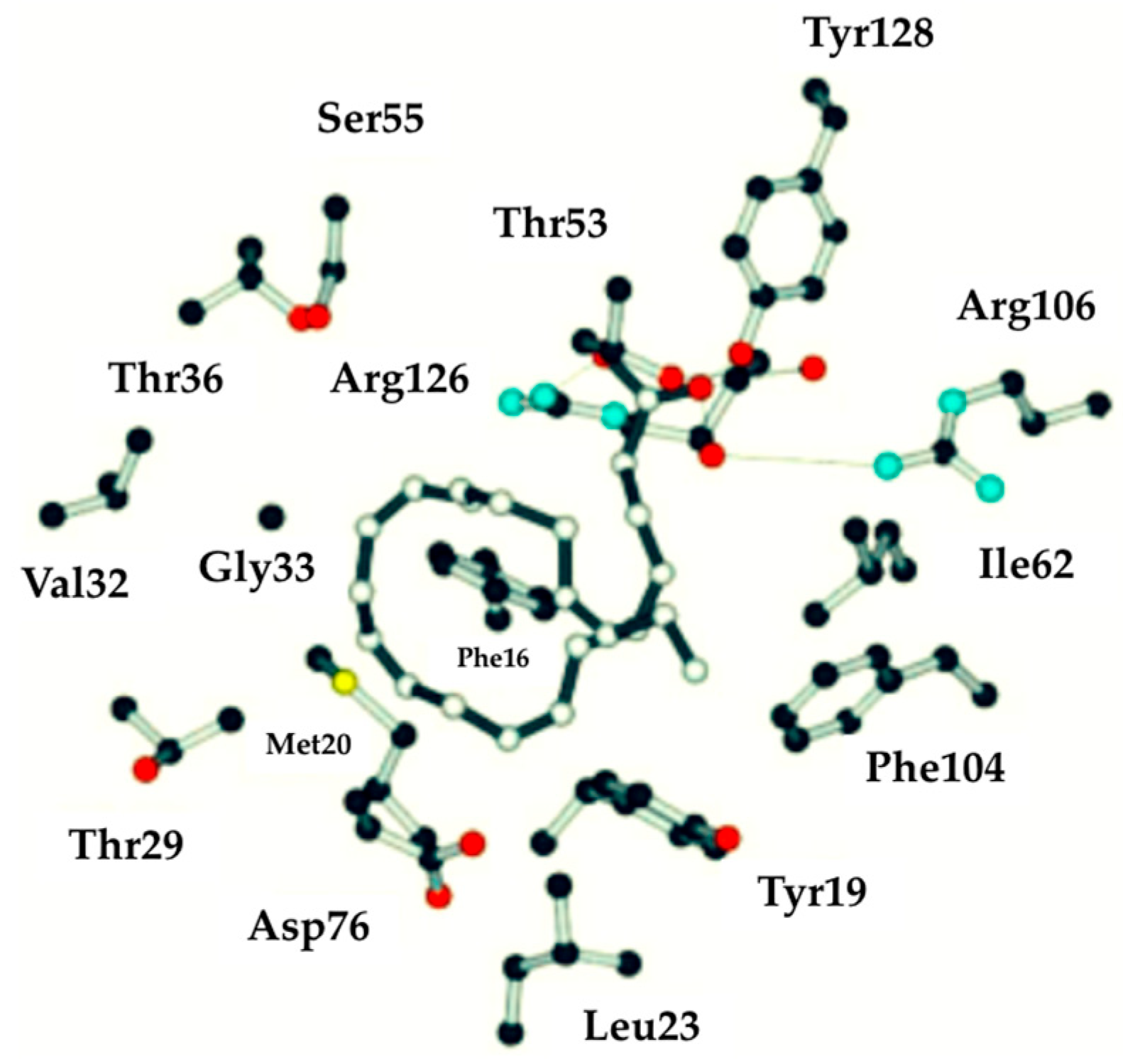 Applsci 14 04548 g003