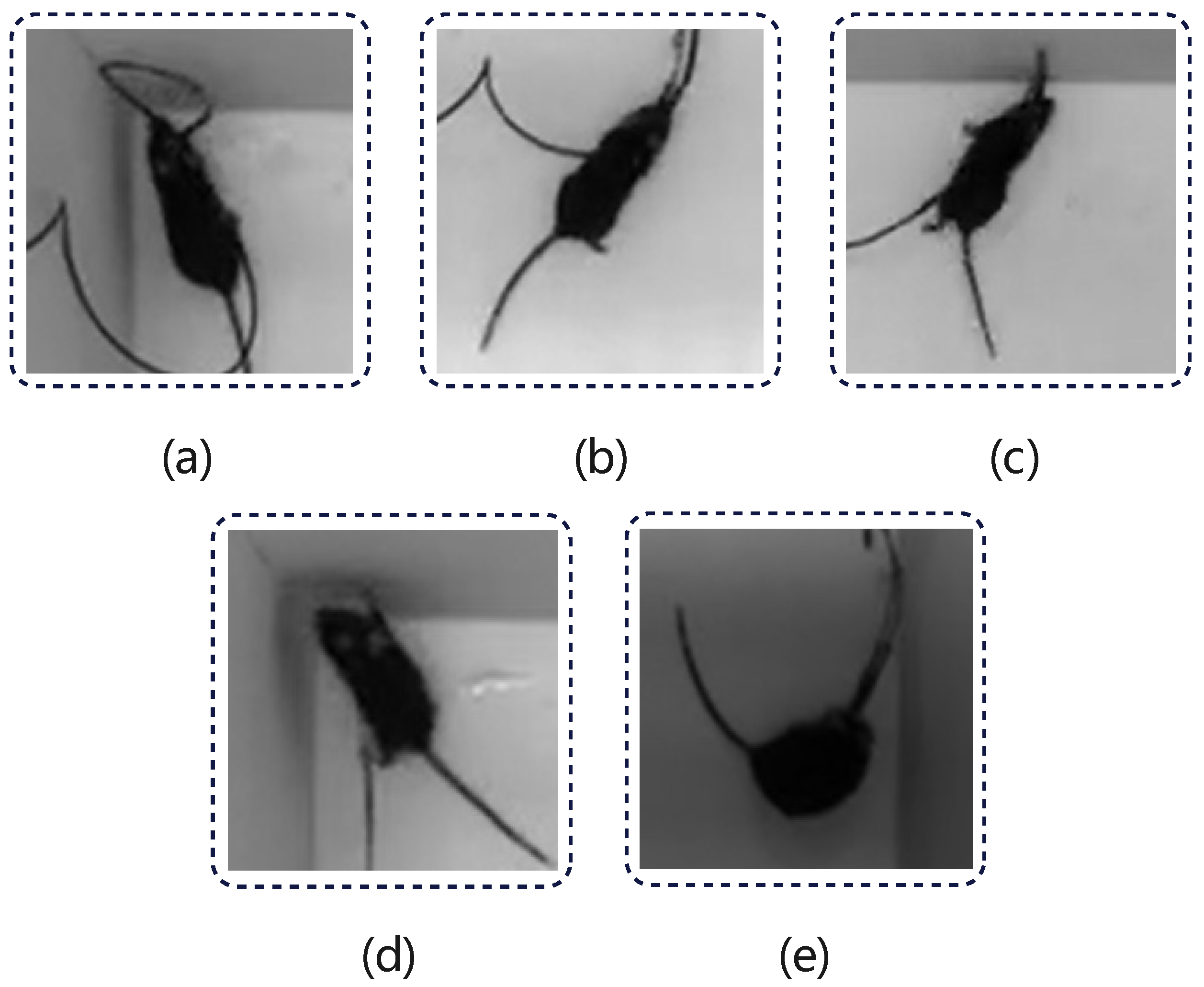 Applsci 14 04583 g008