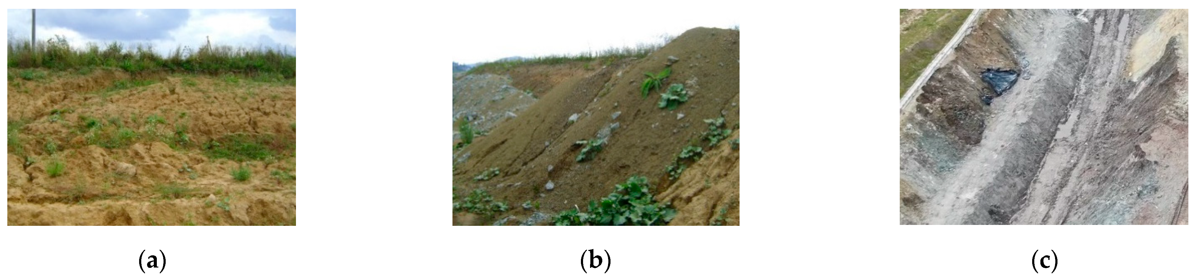 Applsci 14 04601 g001