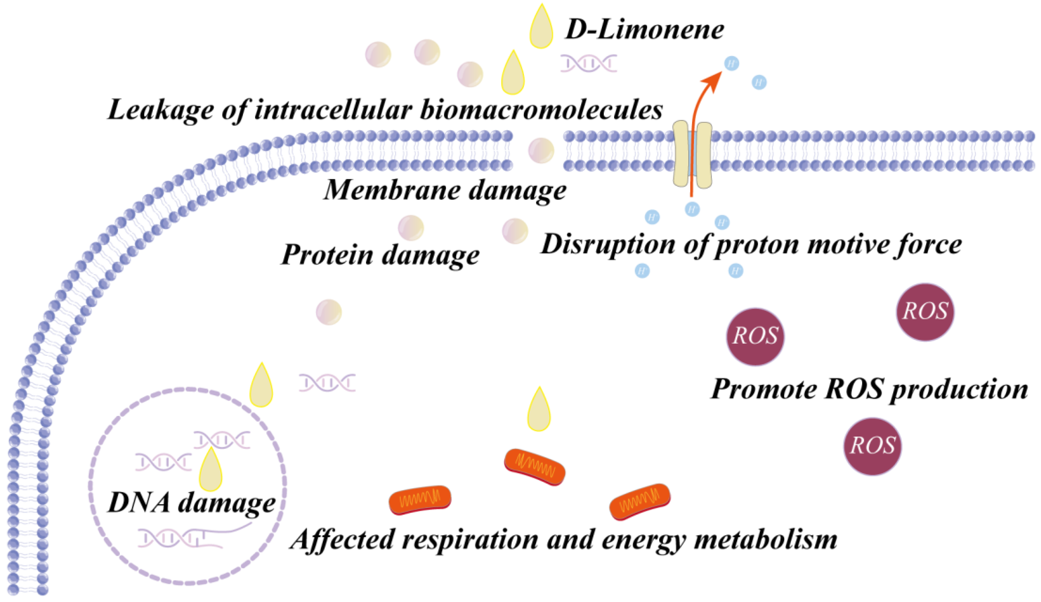 Applsci 14 04605 g002