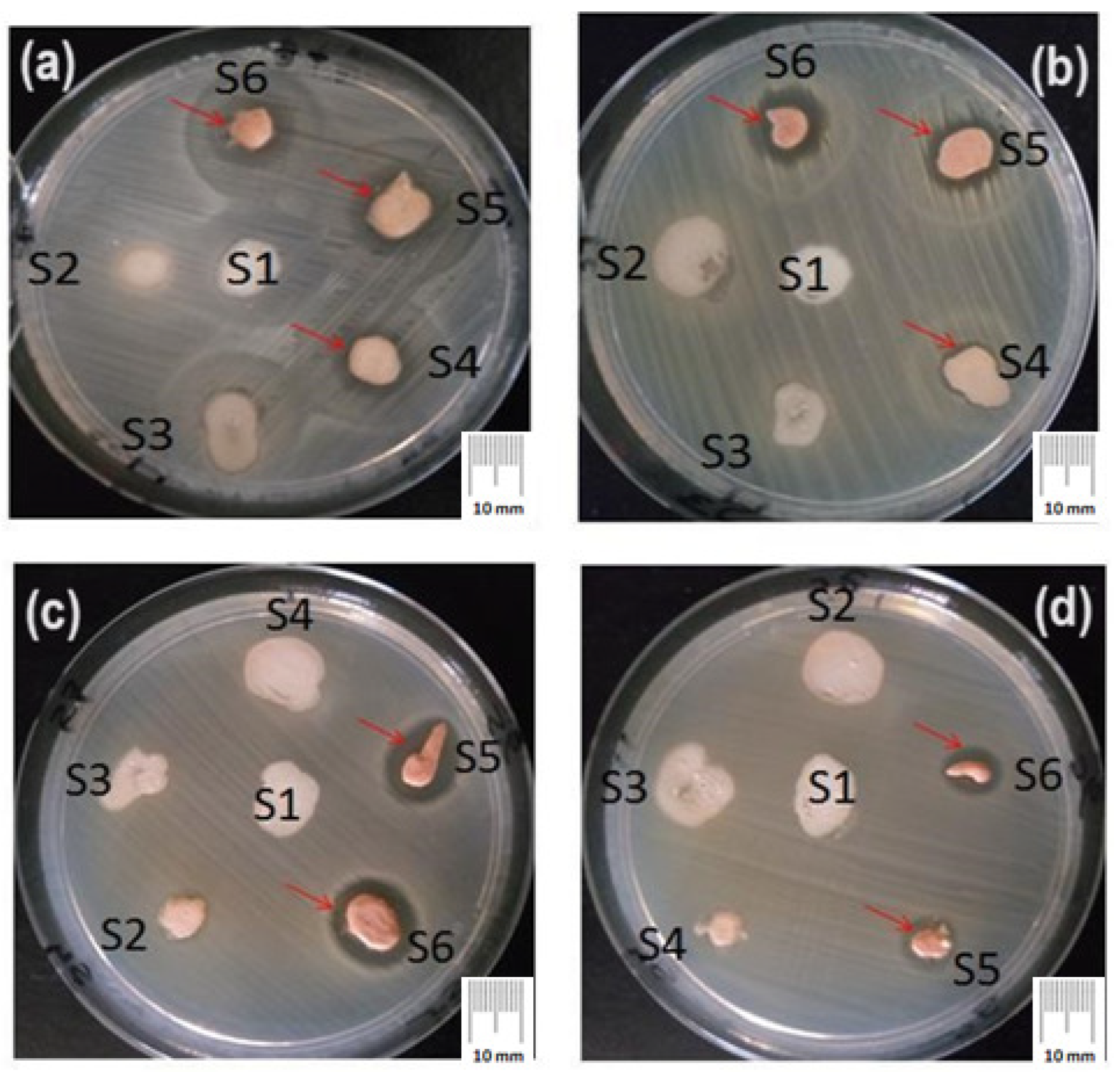 Applsci 14 04612 g007