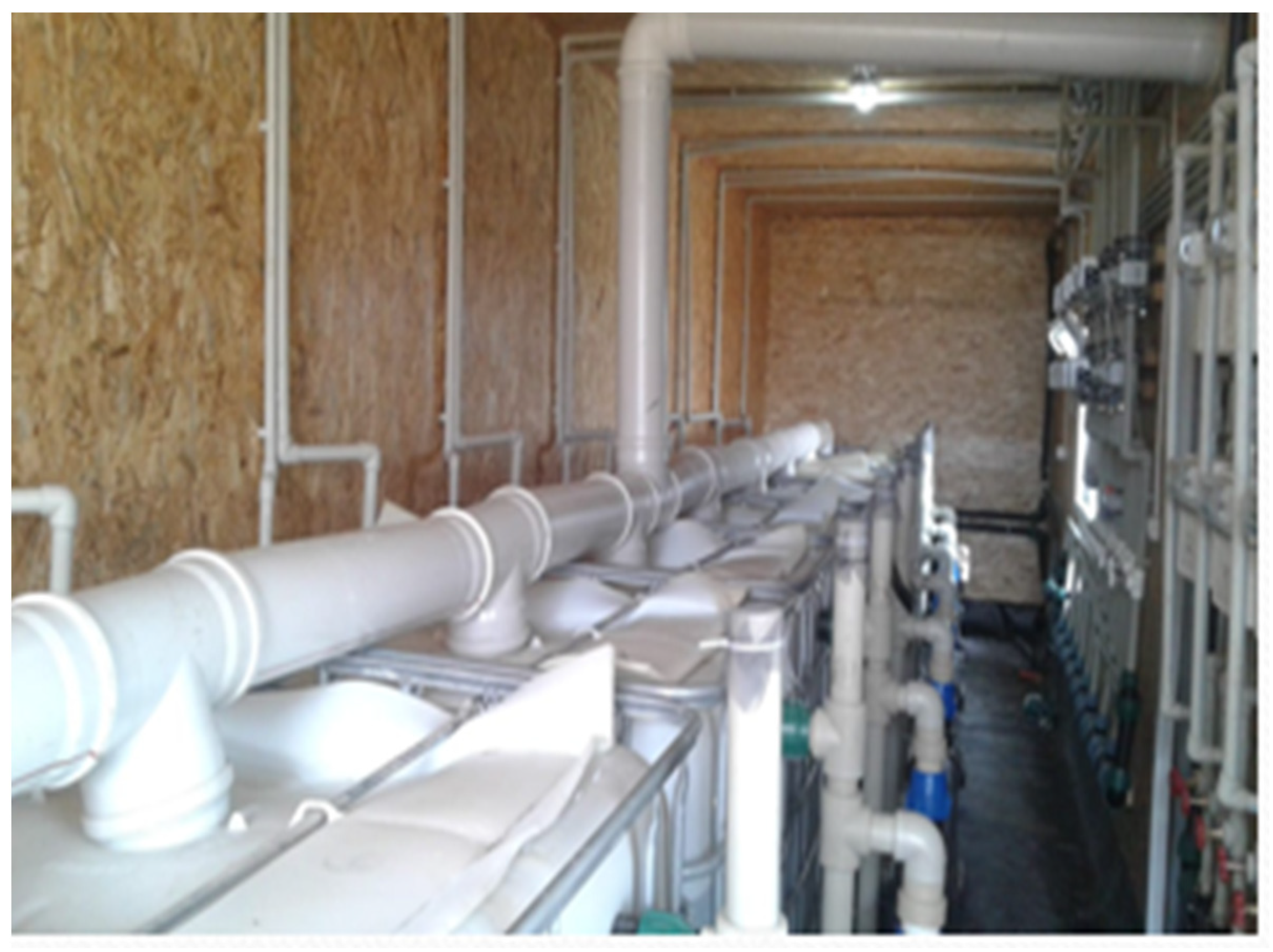 Applsci 14 04640 g005