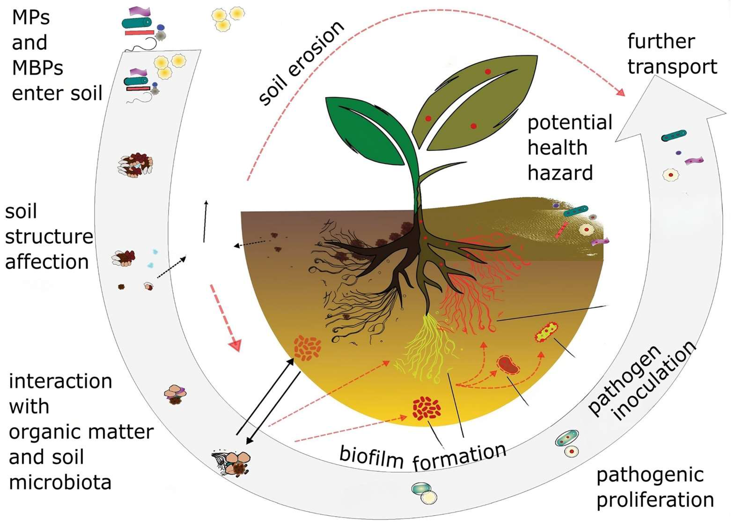 Applsci 14 04643 g005