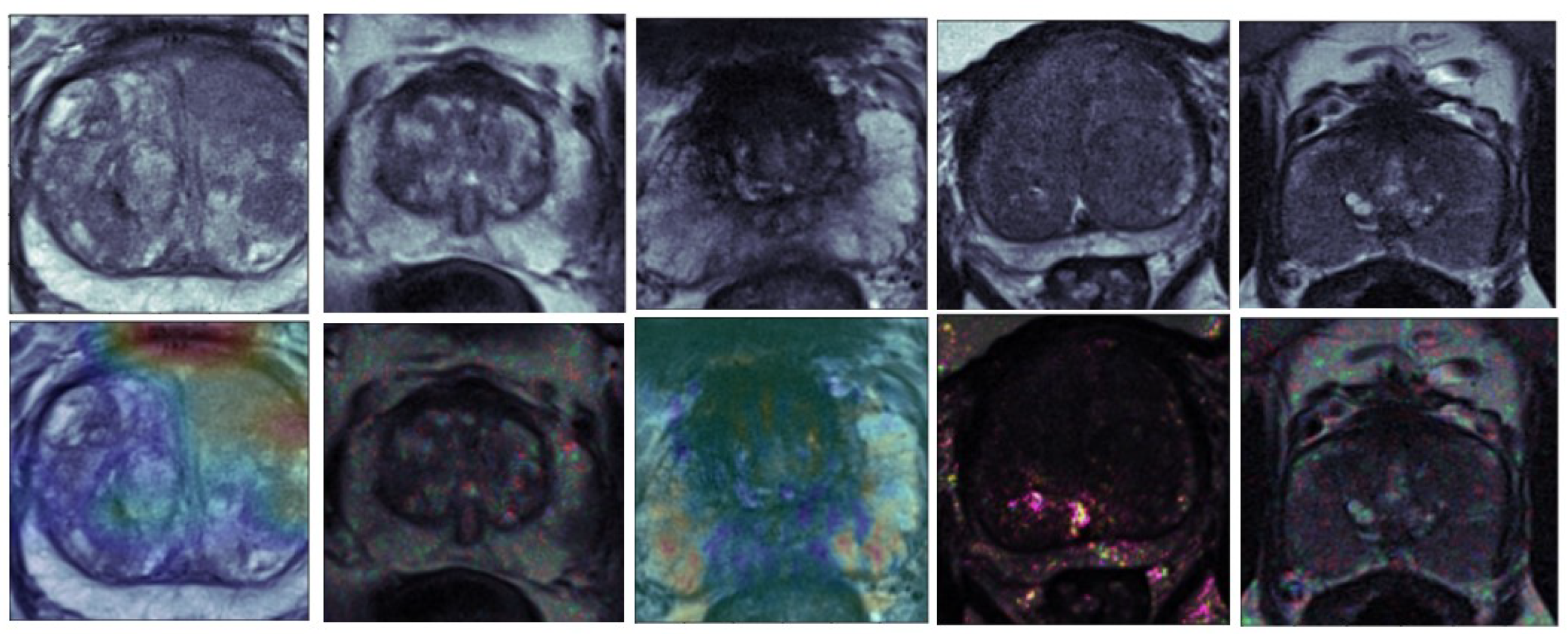 Applsci 14 04654 g002