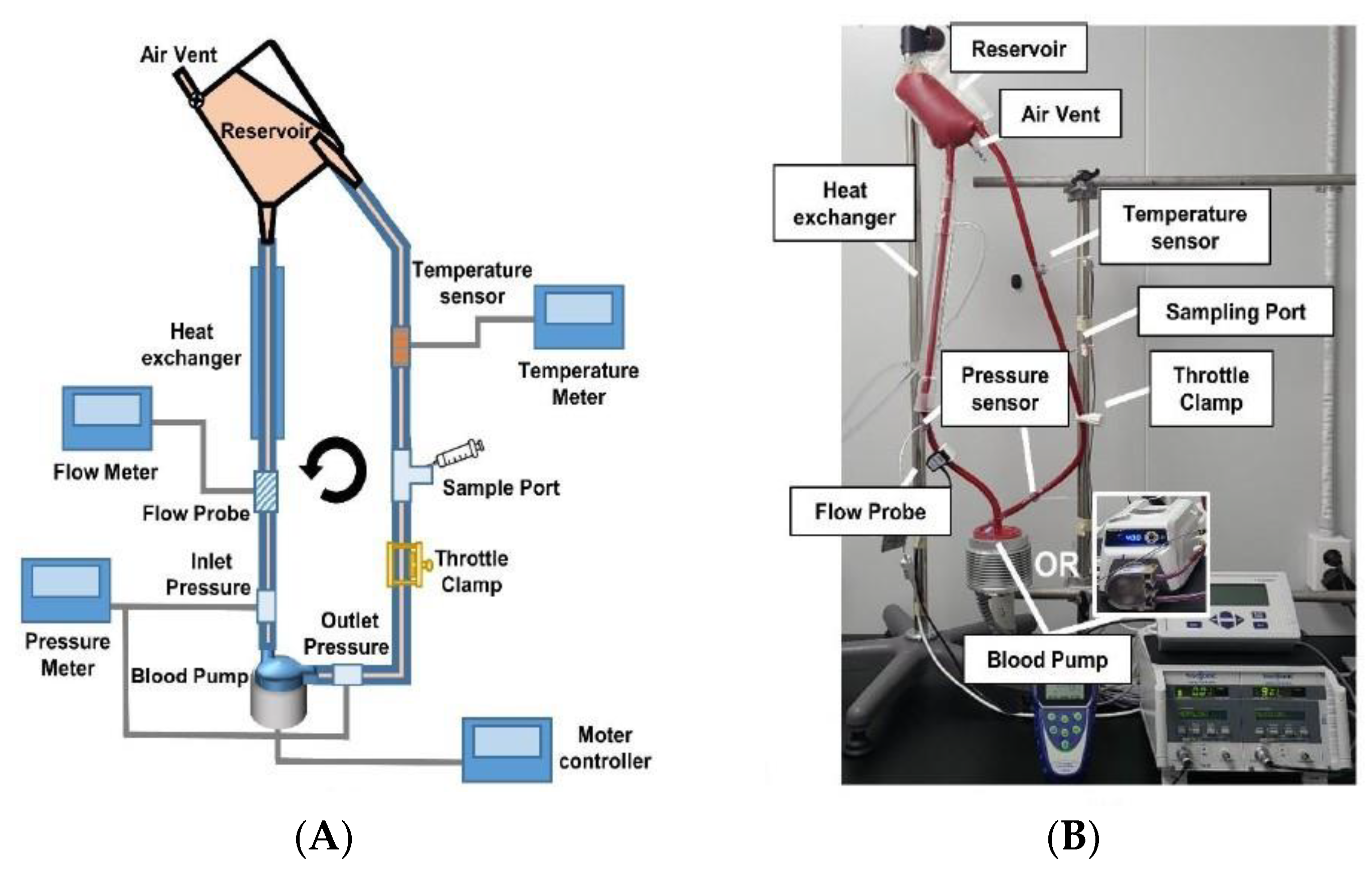 Applsci 14 04695 g001