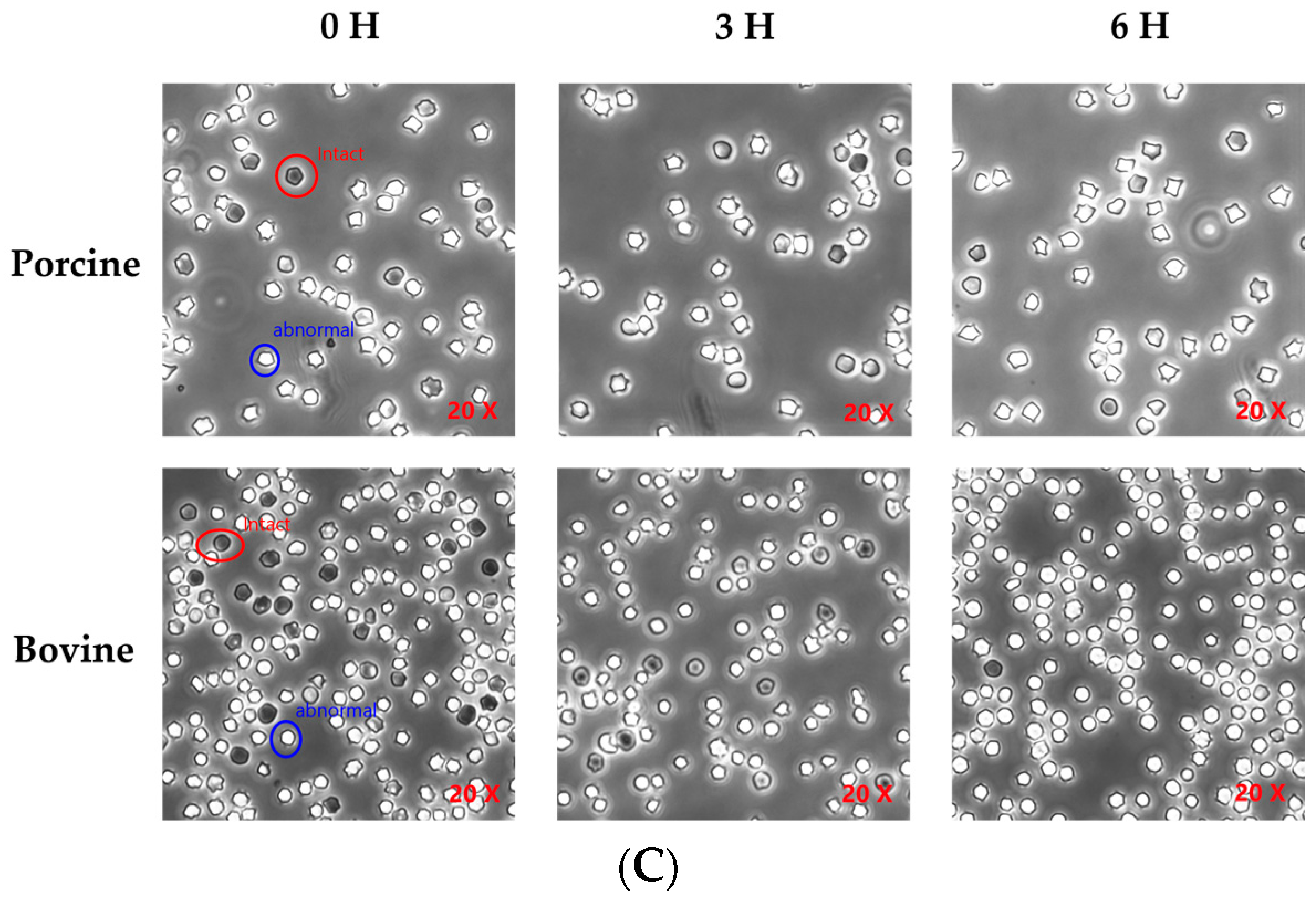 Applsci 14 04695 g004b