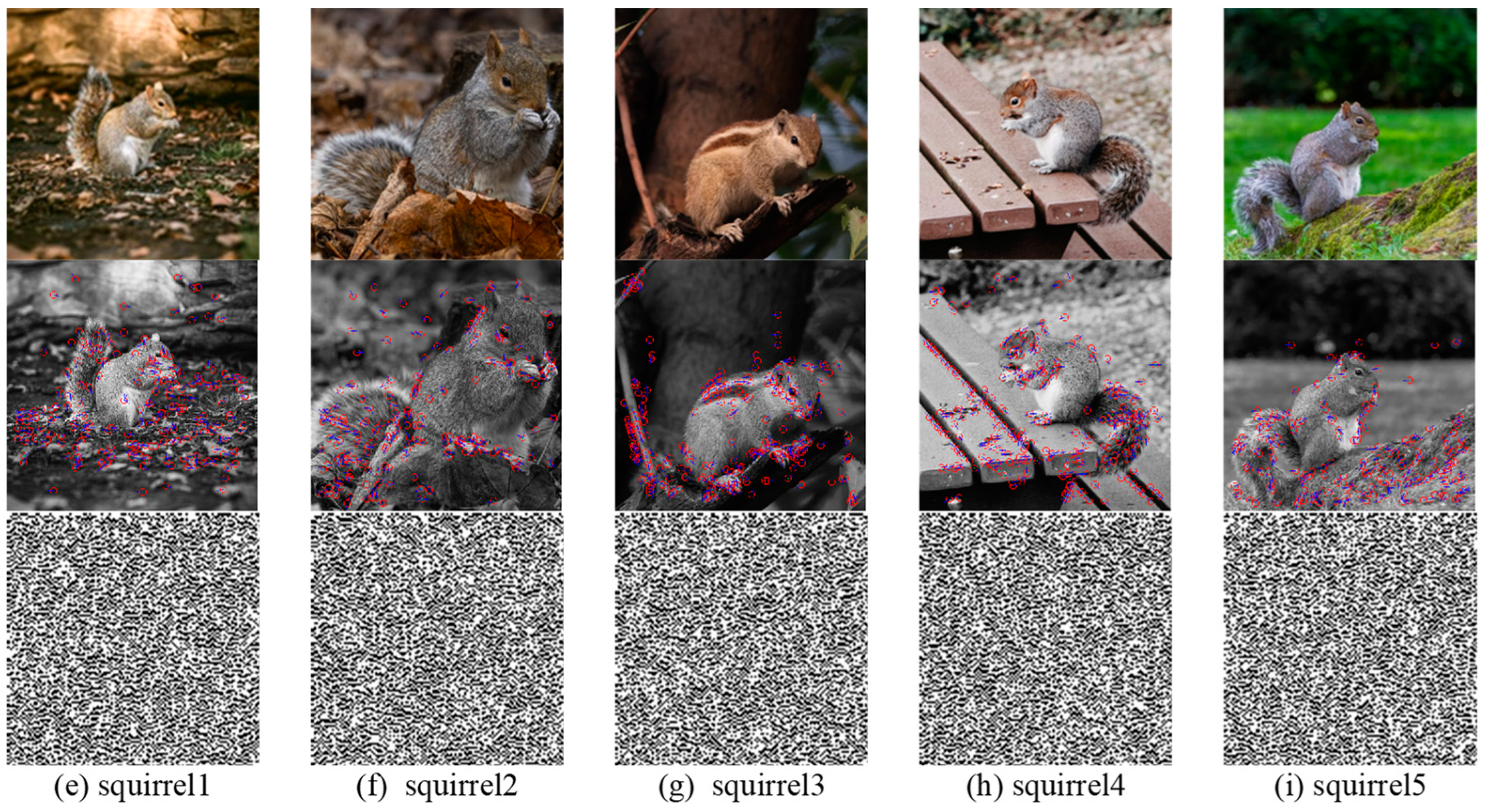 Applsci 14 04756 g009