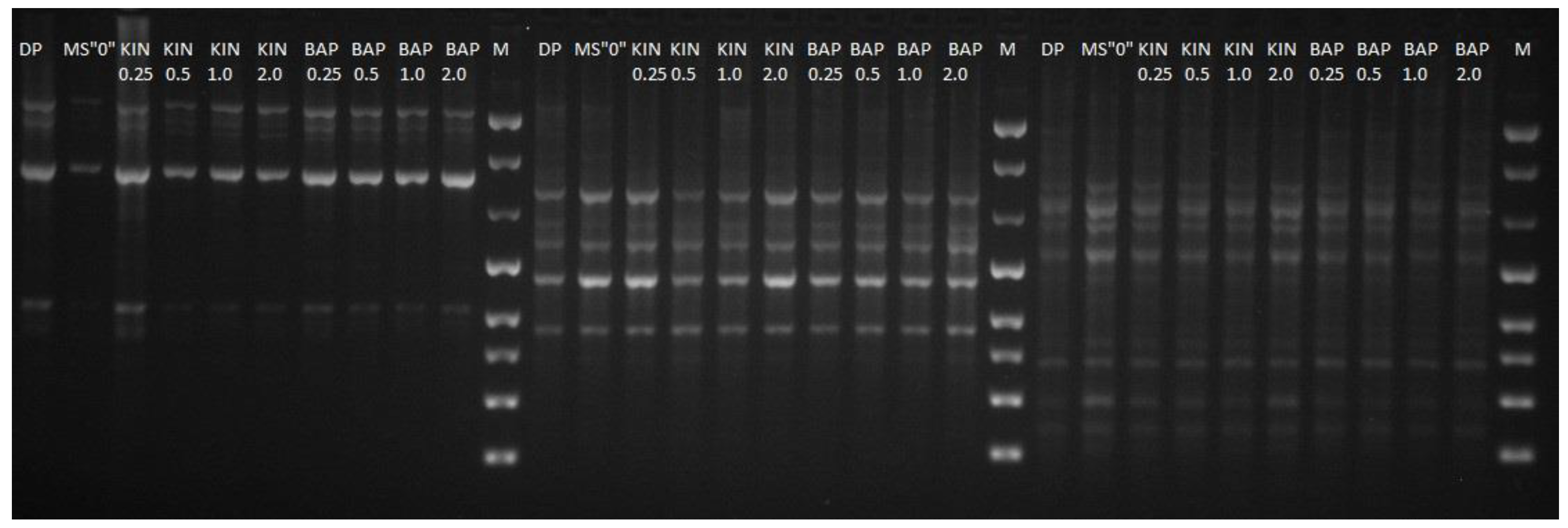 Applsci 14 04791 g003