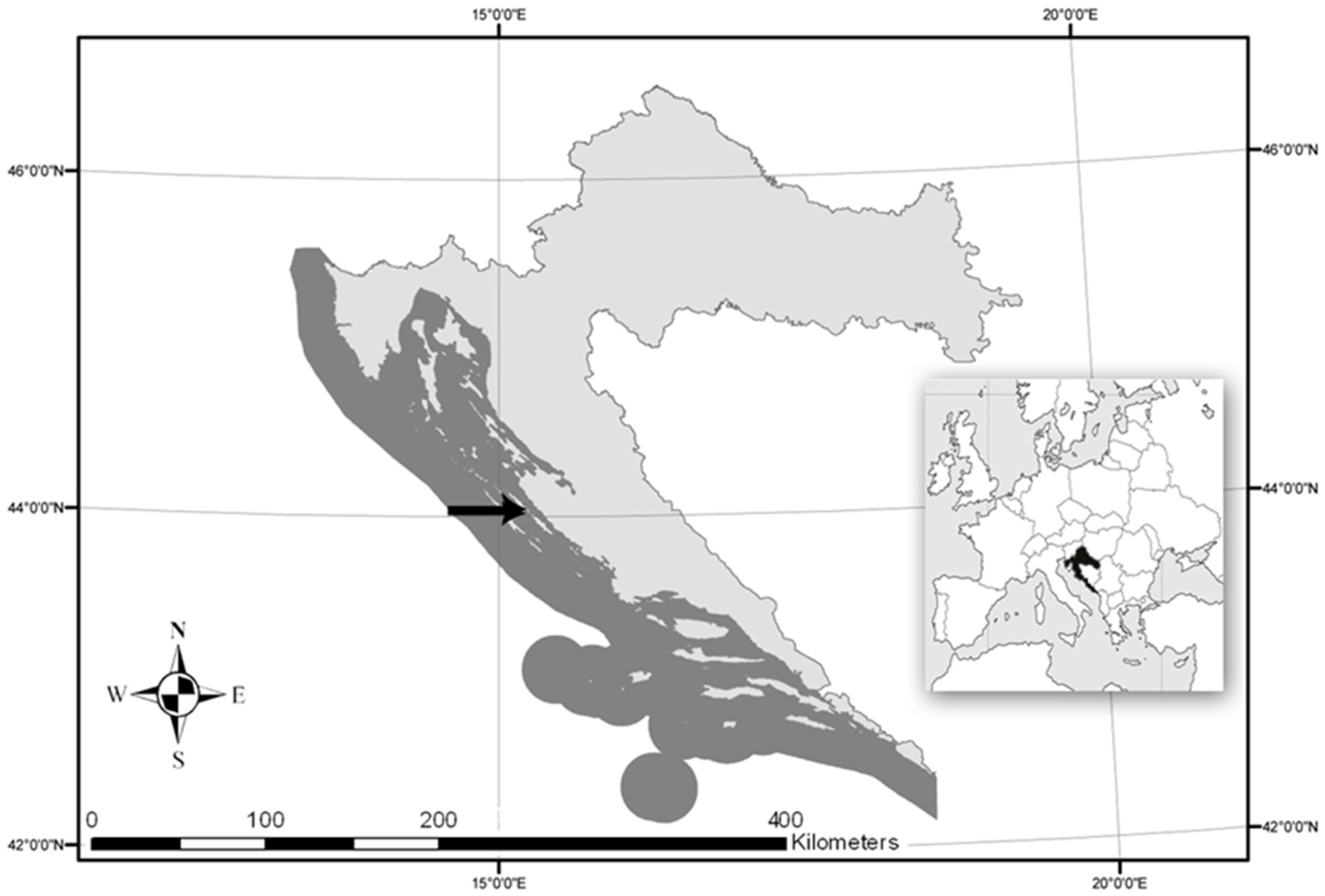 Applsci 14 04842 g001