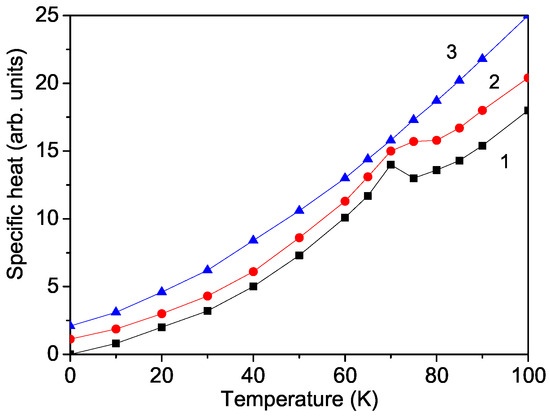 Theoretical Study of the Multiferroic Properties of Ion