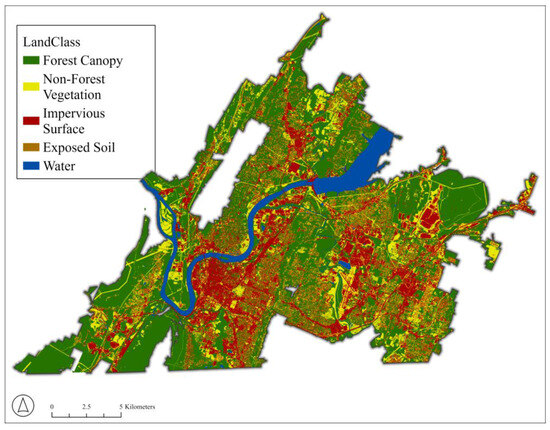 A Spatial Analysis of Urban Tree Canopy Using High