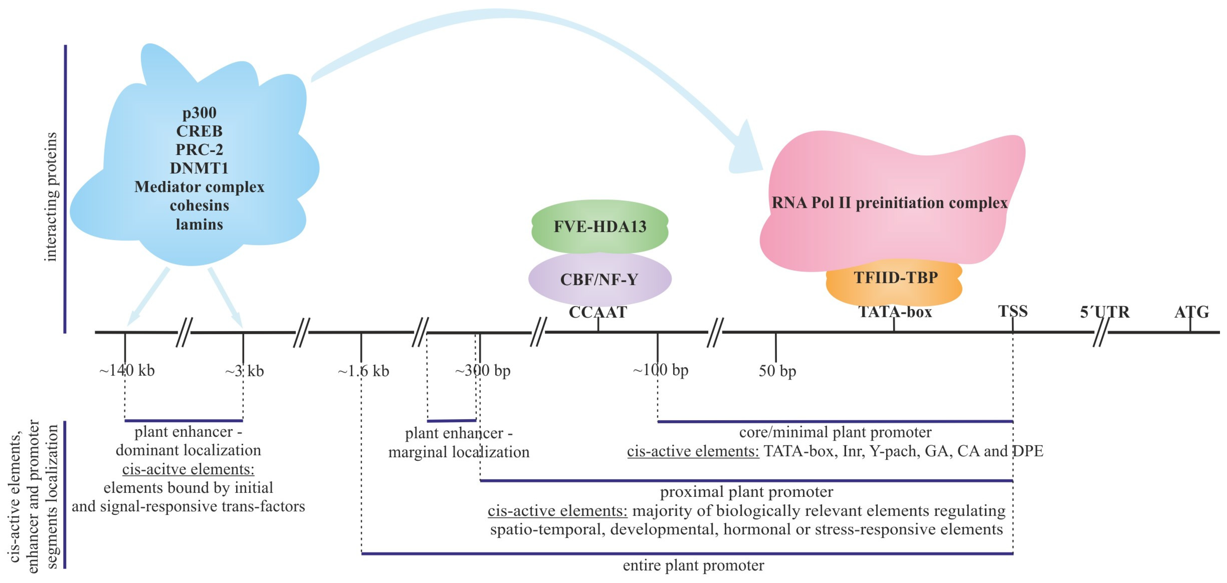 Applsci 14 04877 g001