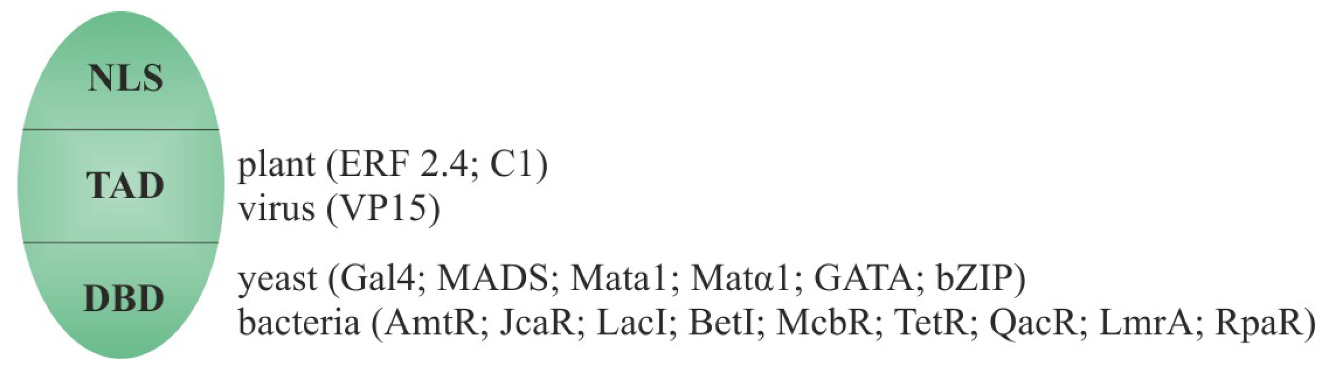 Applsci 14 04877 g002